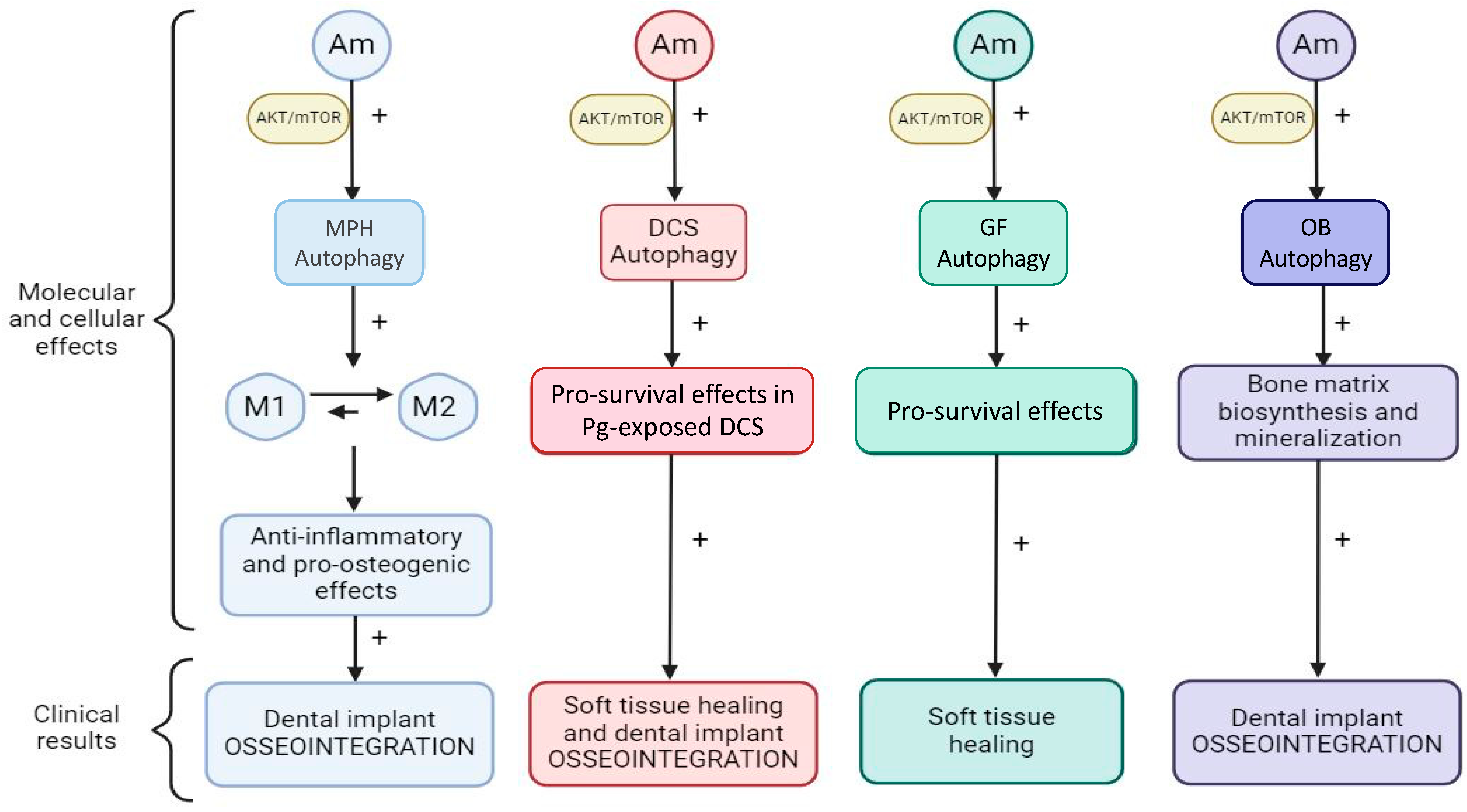 Diagnostics 14 02784 g005