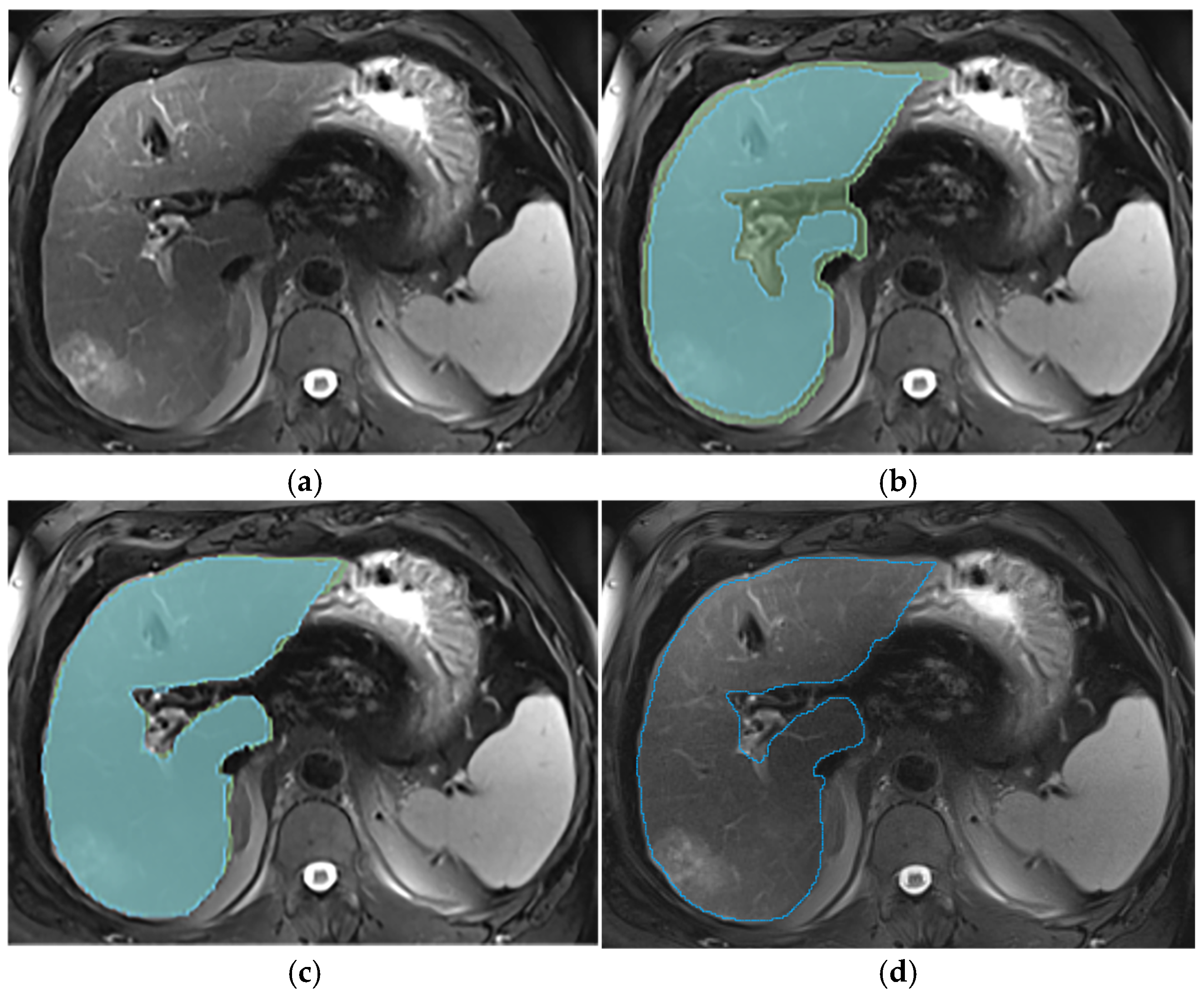 Diagnostics 14 02785 g002