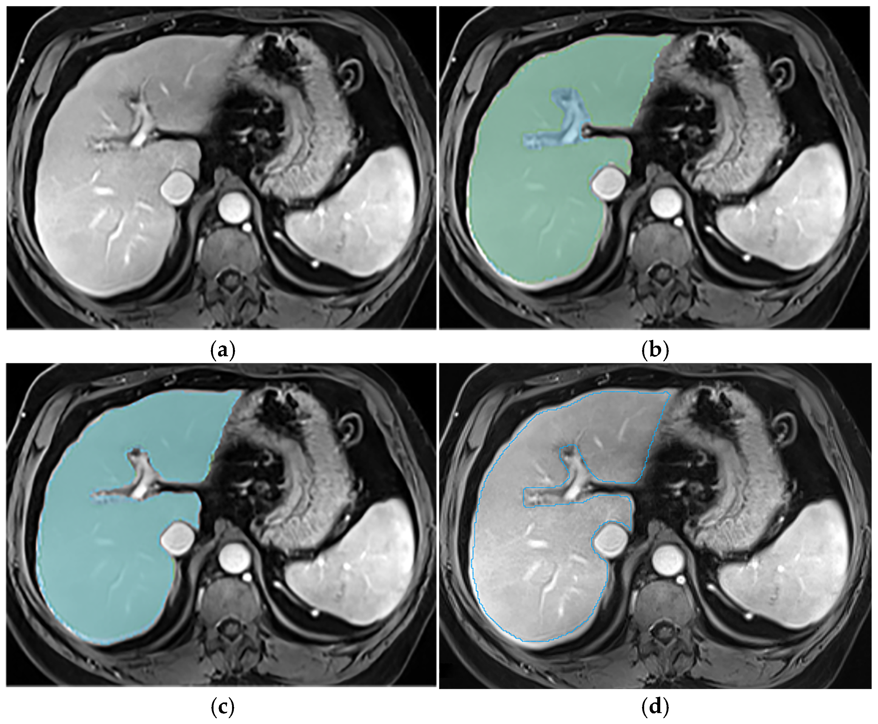 Diagnostics 14 02785 g003