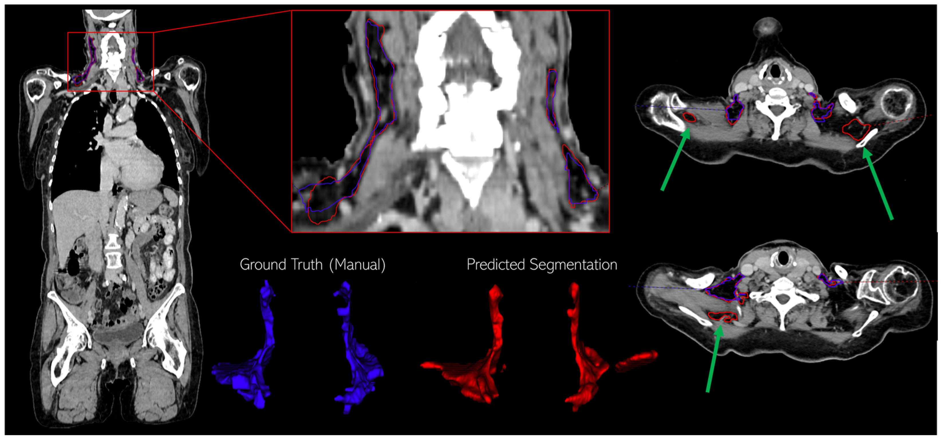 Diagnostics 14 02786 g003 Diagnostics 14 02786 g003