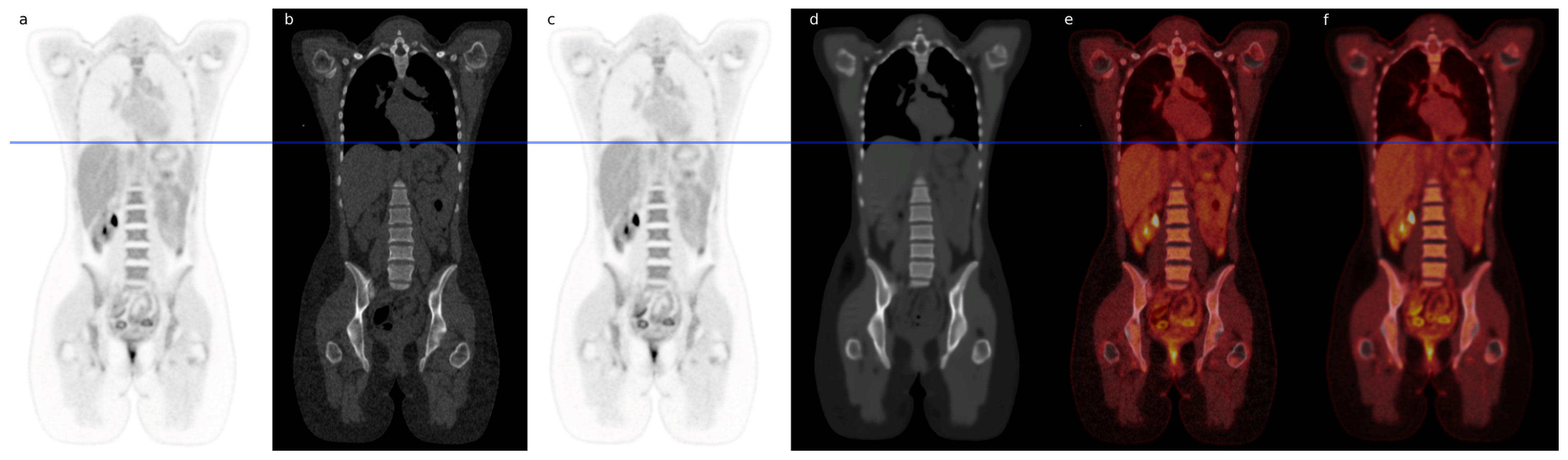 Diagnostics 14 02788 g001