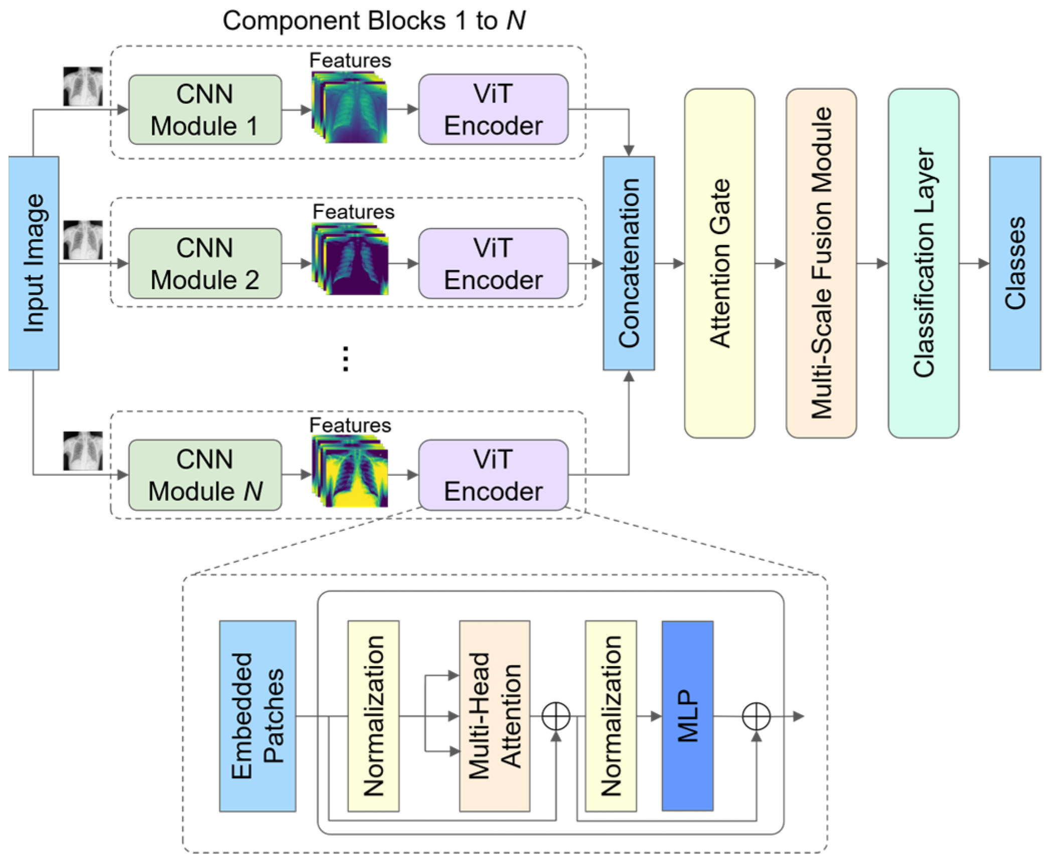 Convolutional Neural Network–Vision Transformer Architecture with Gated ...