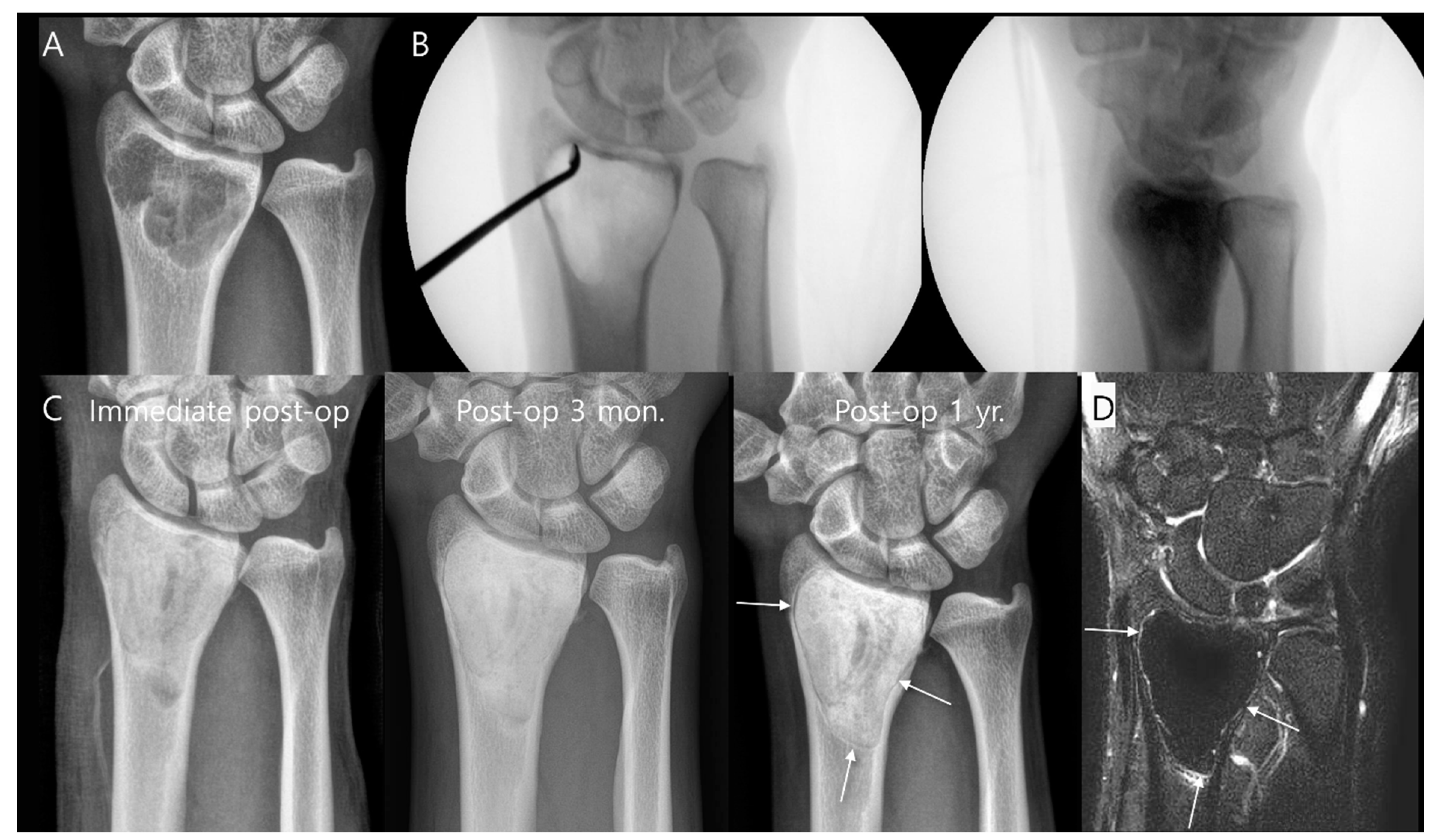Diagnostics 14 02794 g003