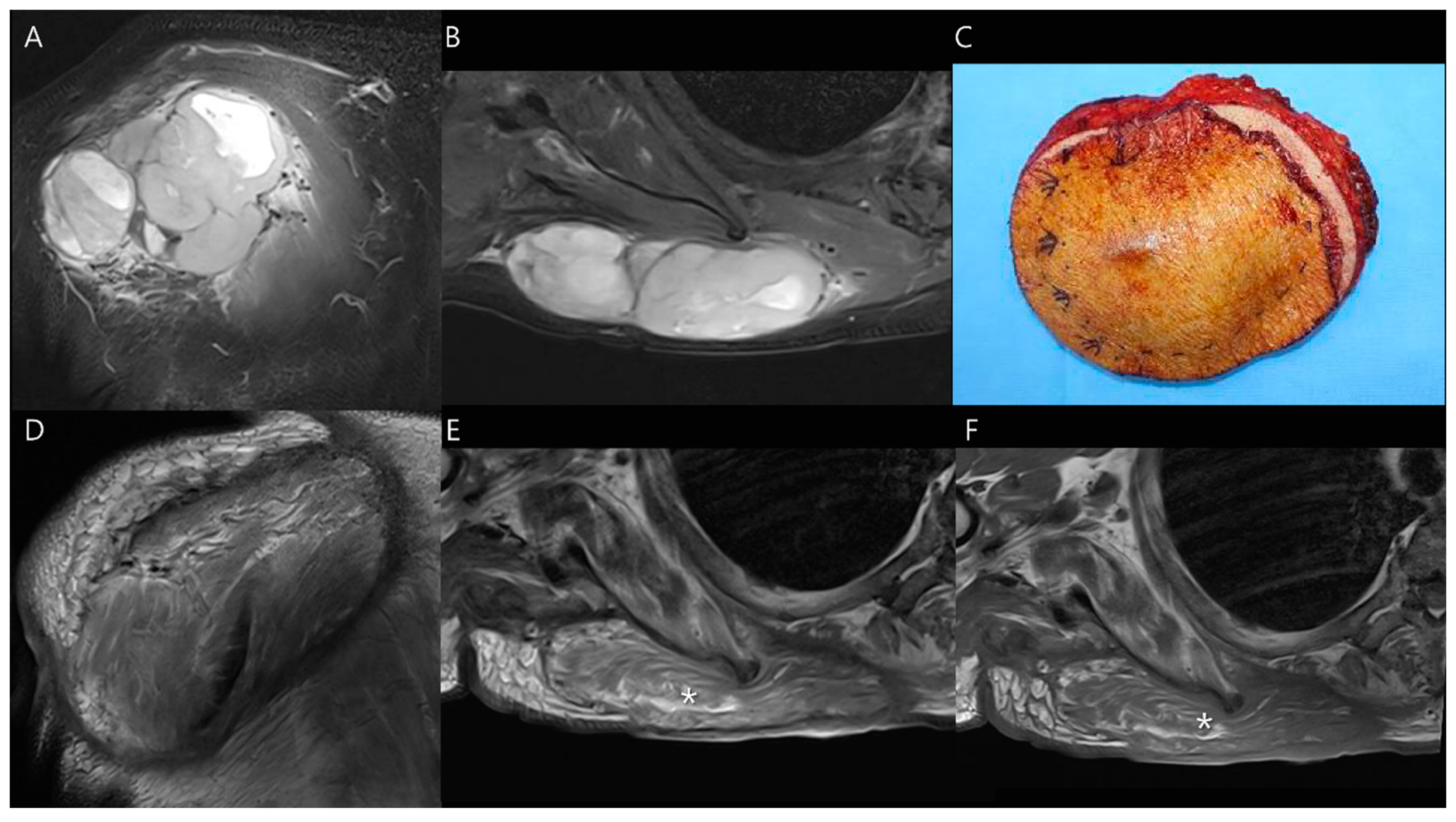 Diagnostics 14 02794 g008