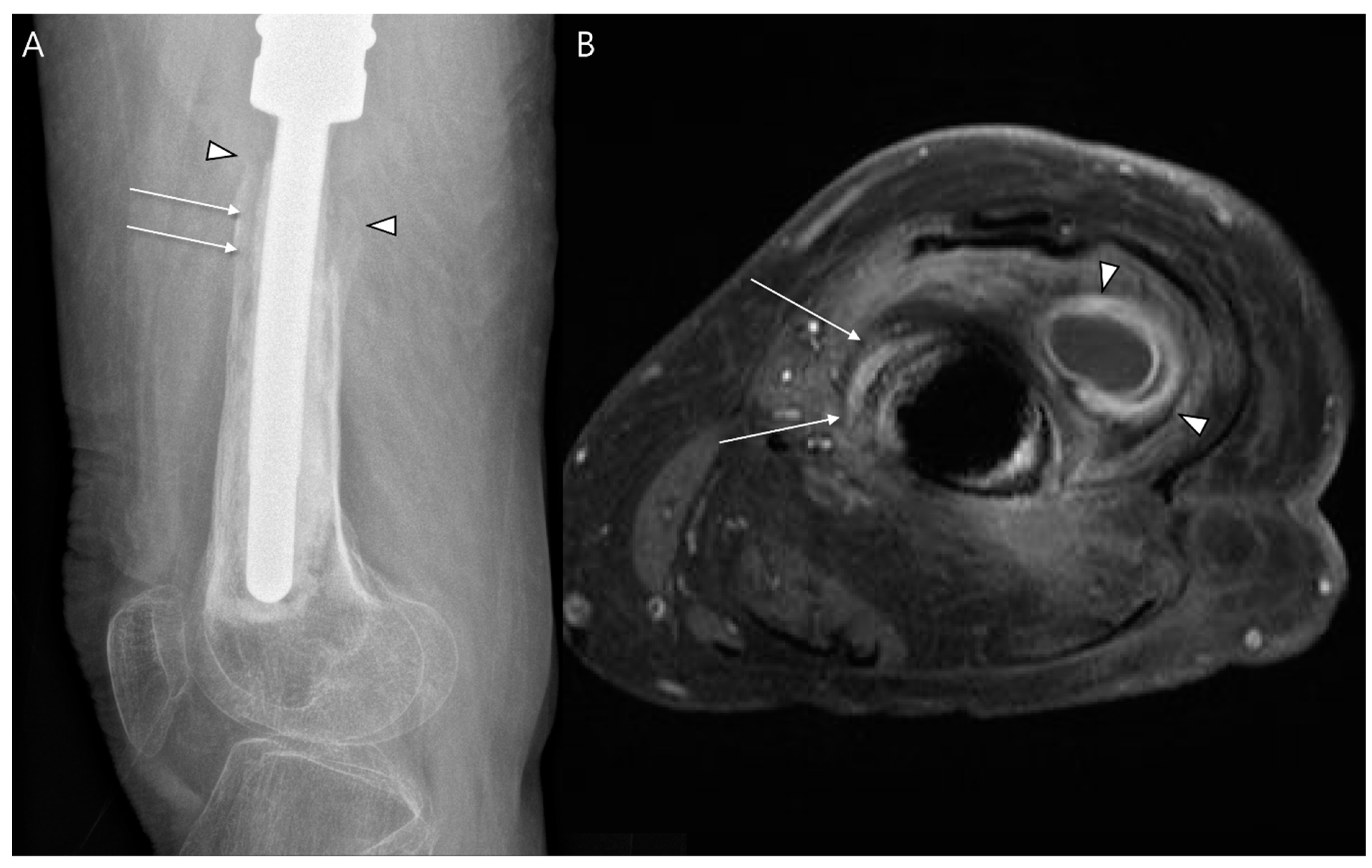 Diagnostics 14 02794 g009