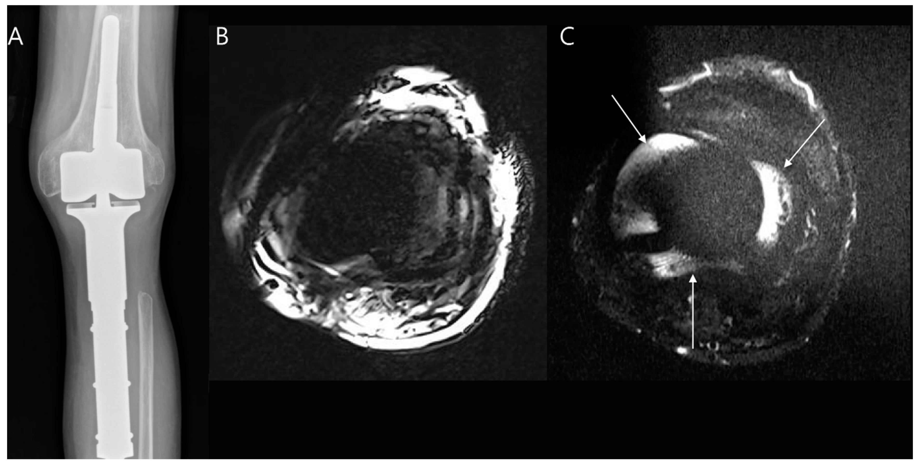 Diagnostics 14 02794 g020
