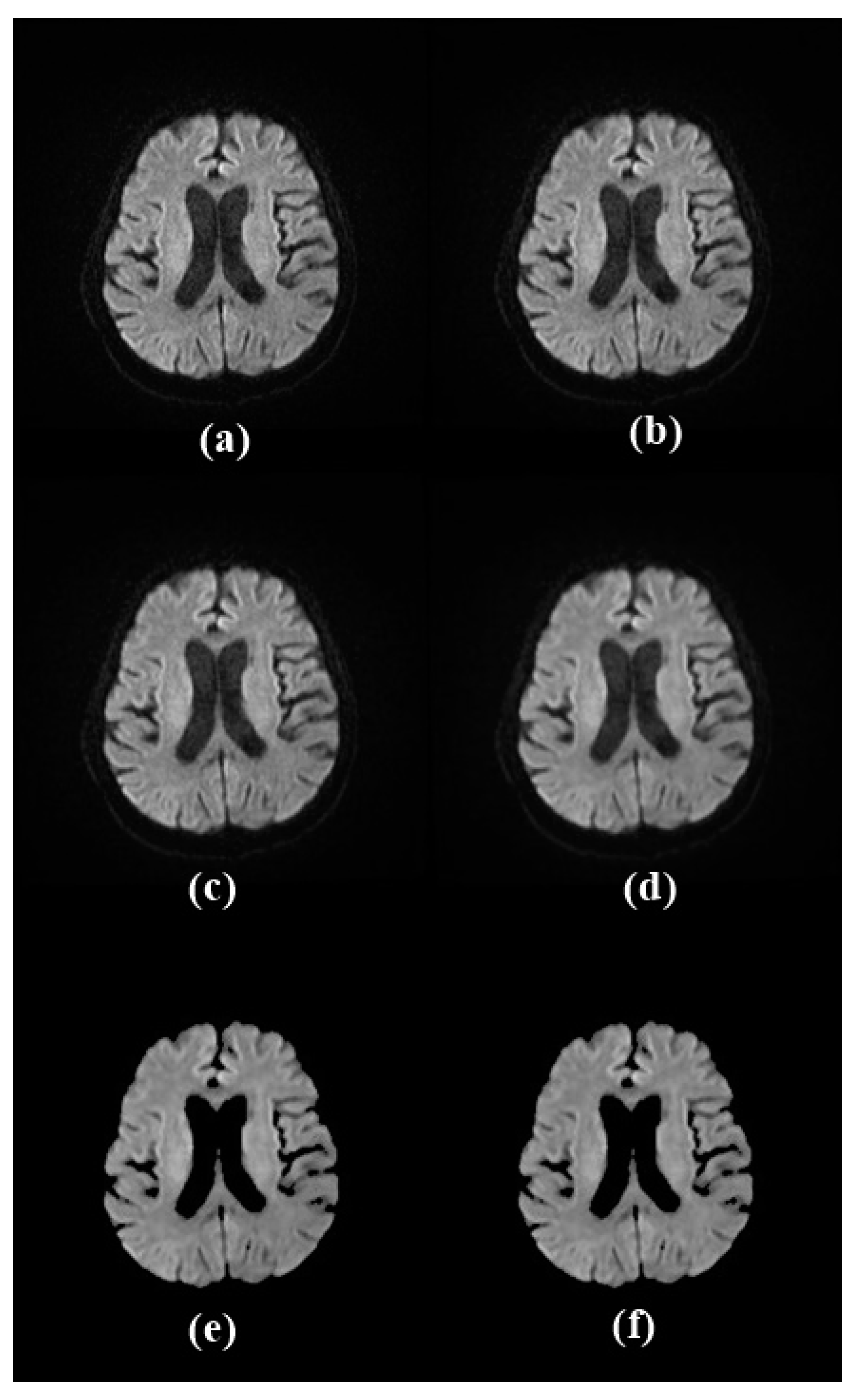 Diagnostics 14 02802 g003
