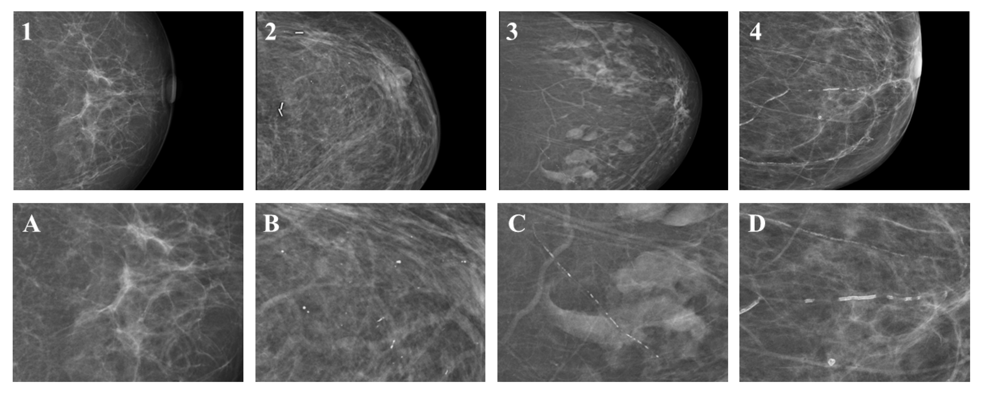 Diagnostics 14 02803 g001