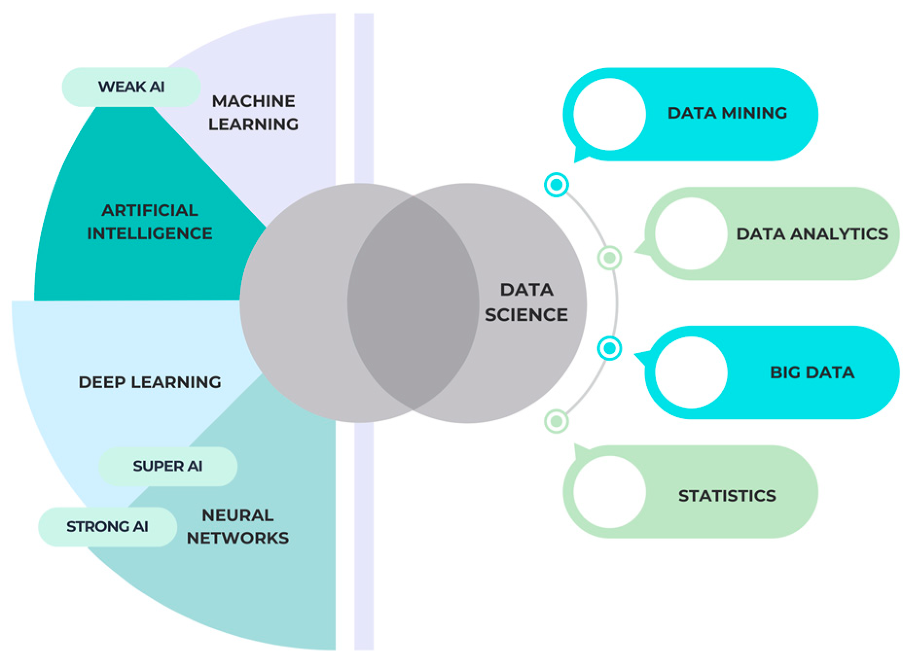 Diagnostics 14 02804 g001