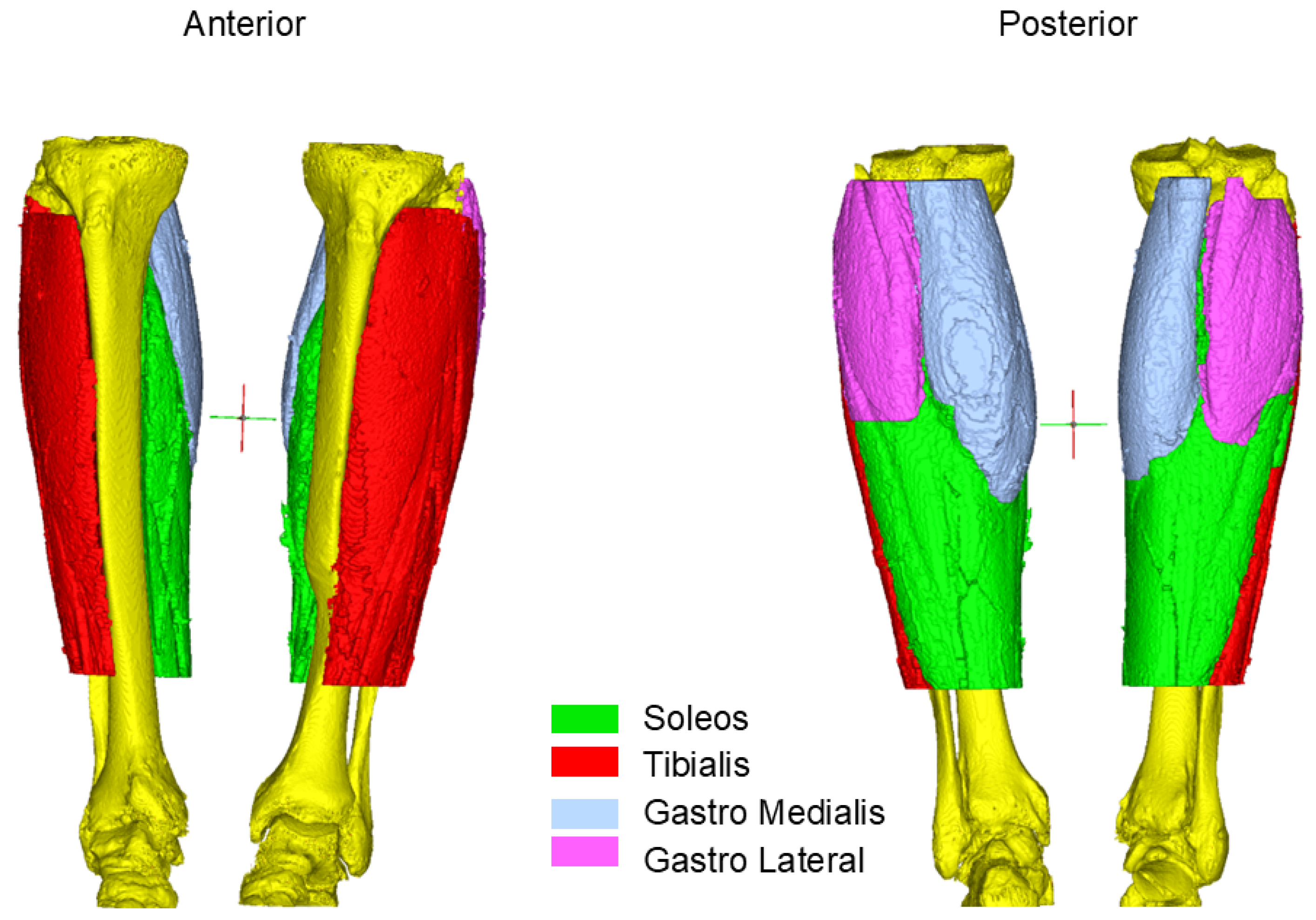 Diagnostics 14 02808 g002 Diagnostics 14 02808 g002