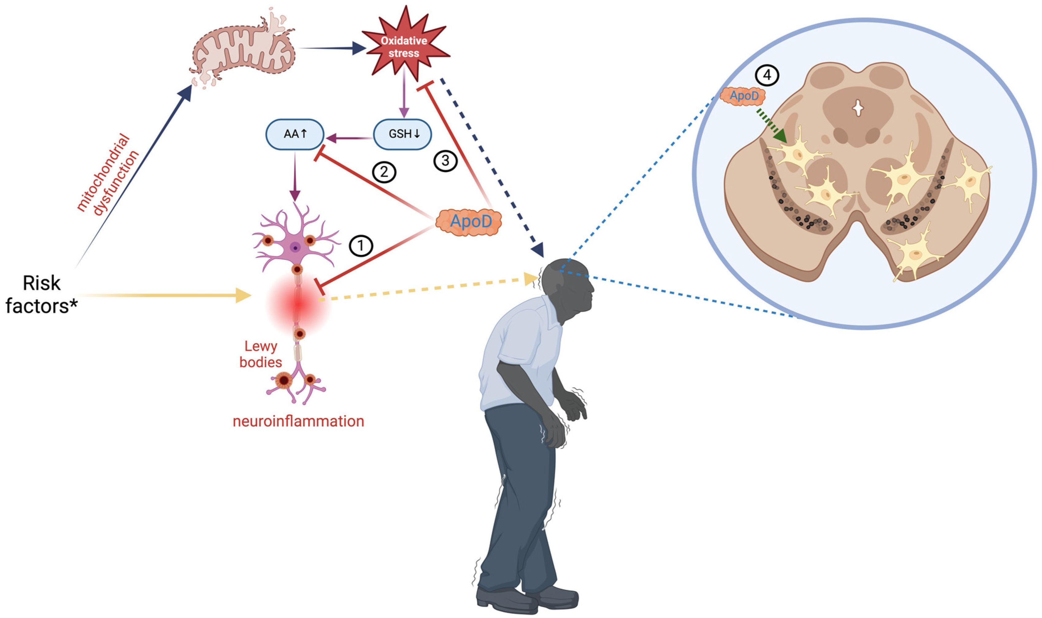 Diagnostics 14 02814 g002