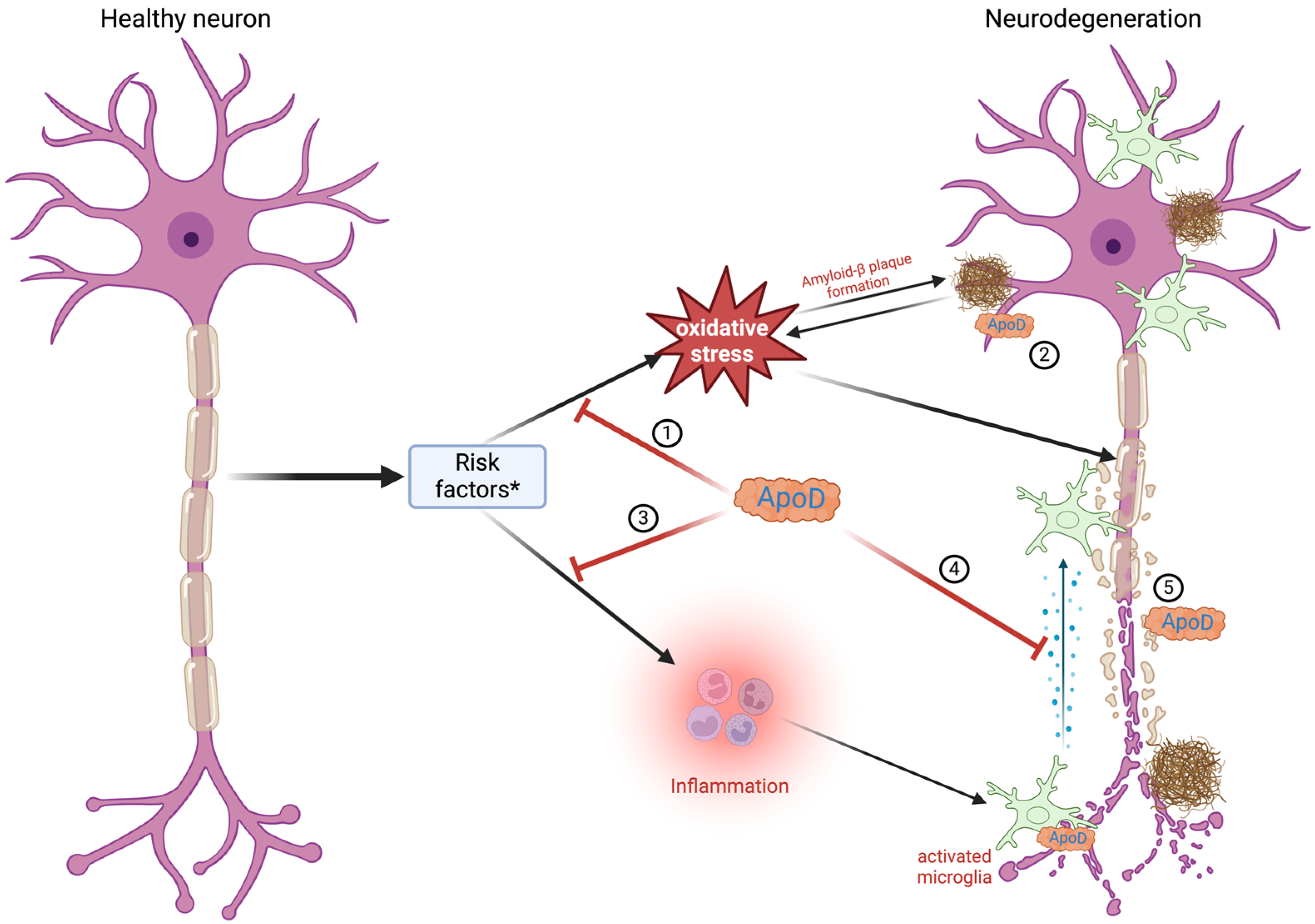 Diagnostics 14 02814 g003