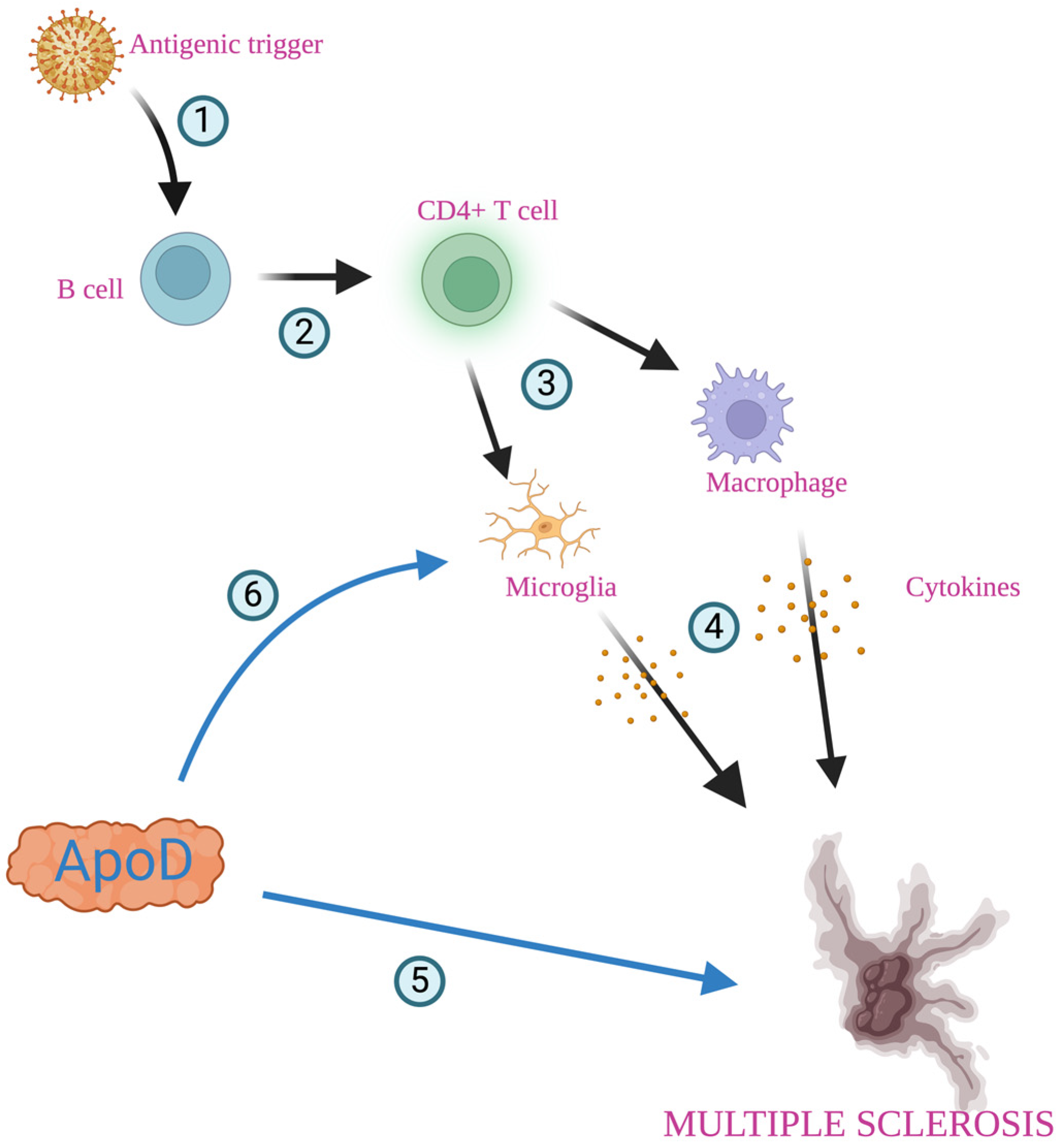 Diagnostics 14 02814 g004