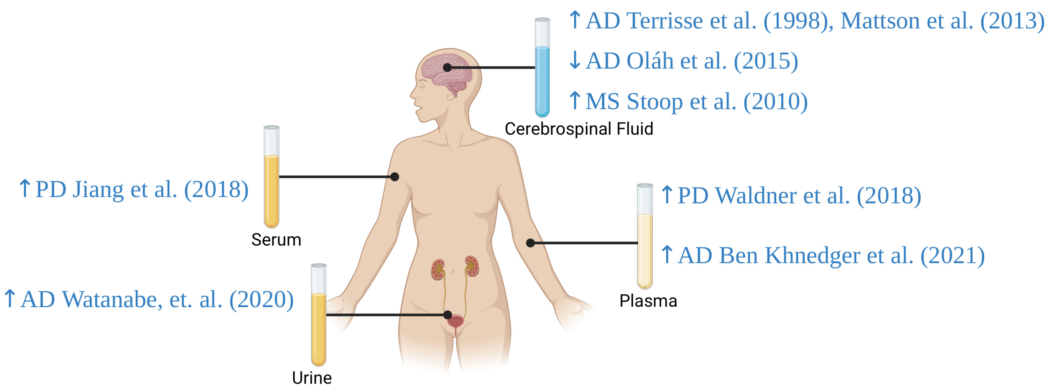 Diagnostics 14 02814 g005