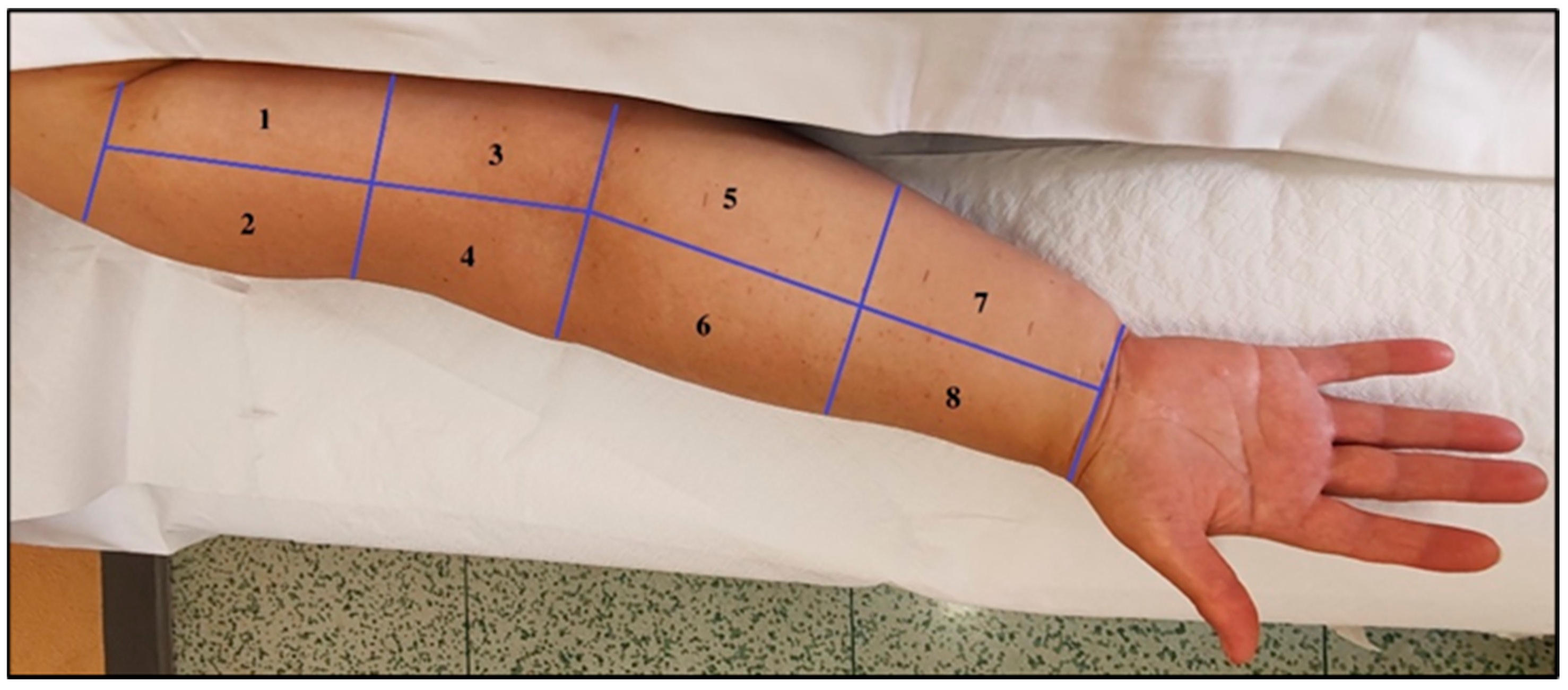 Diagnostics 14 02824 g001