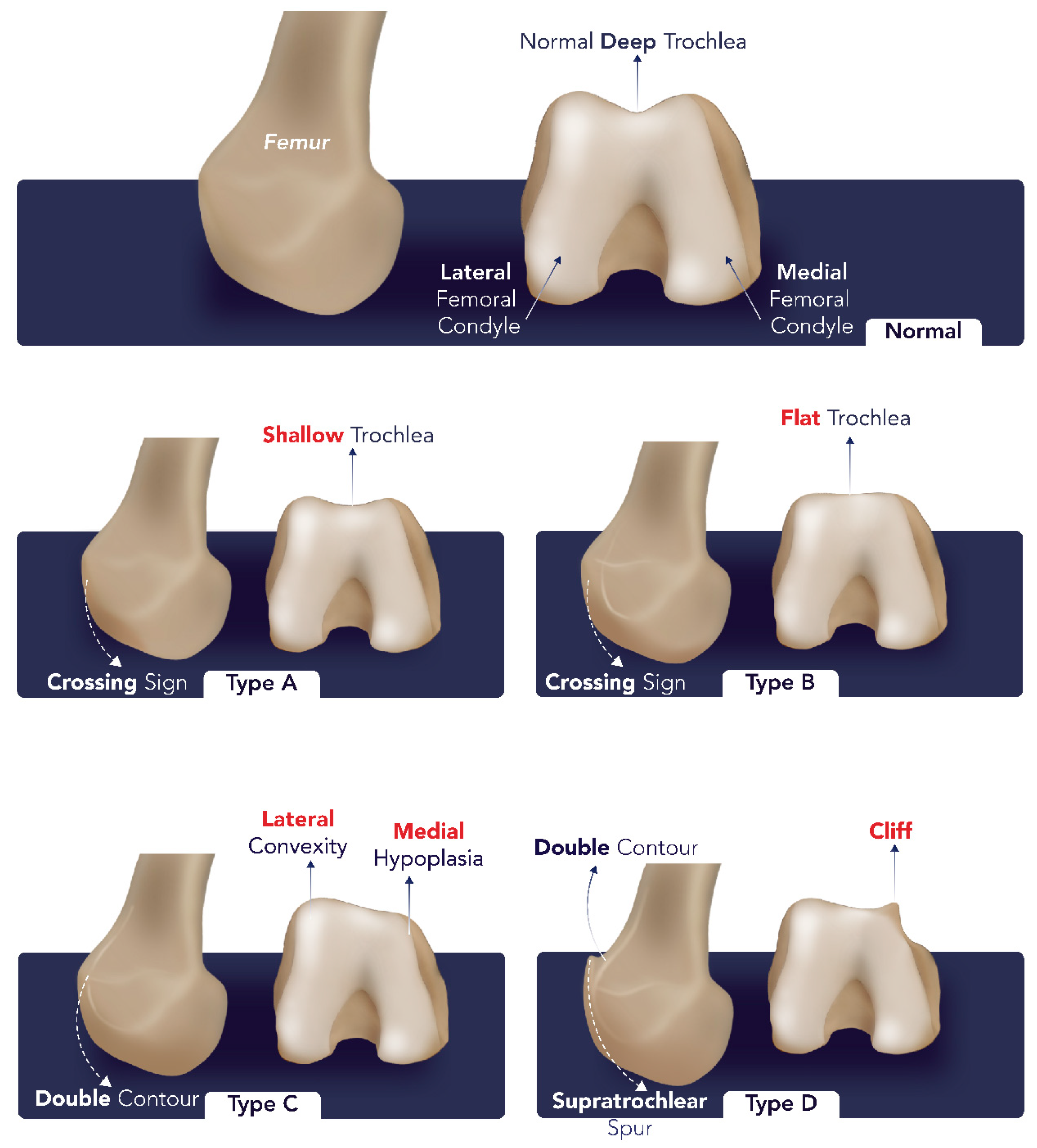 Diagnostics 14 02828 g005 Diagnostics 14 02828 g005