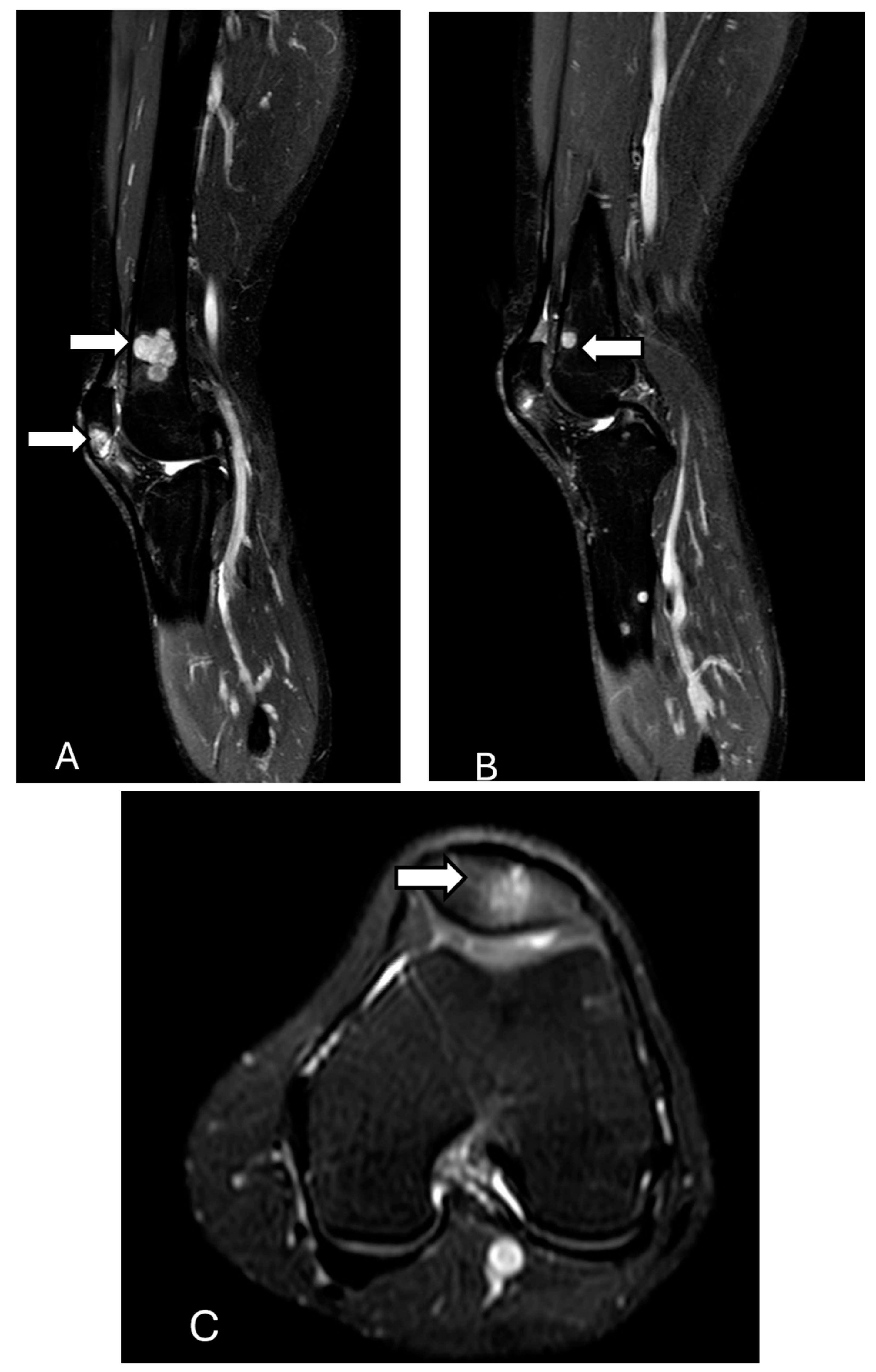 Diagnostics 14 02828 g015 Diagnostics 14 02828 g015