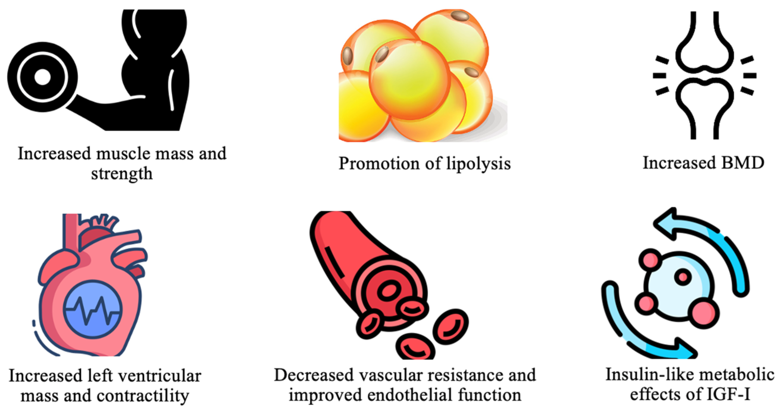 Diagnostics 14 02831 g002