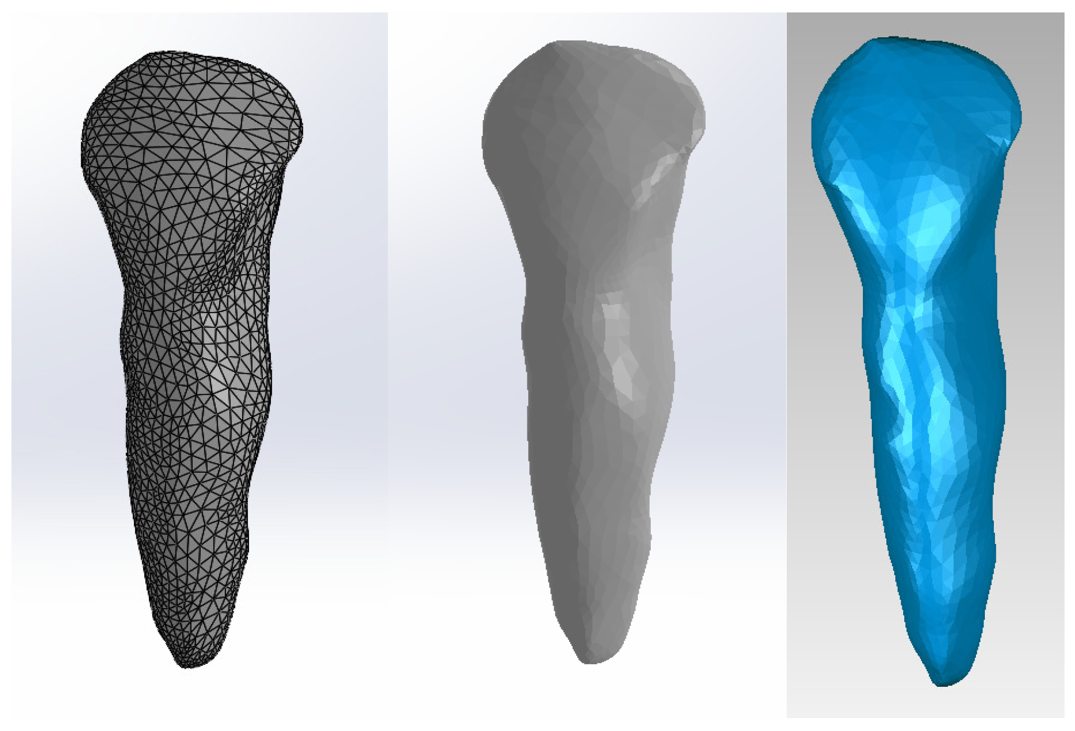 Diagnostics 14 02832 g002