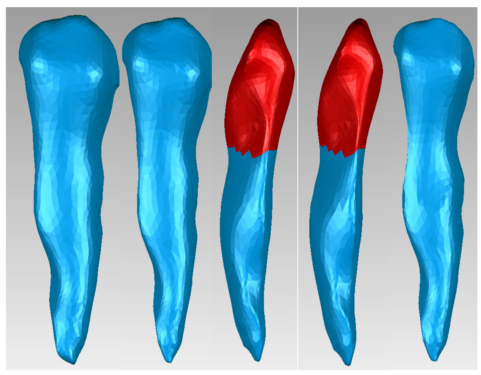 Diagnostics 14 02832 g003