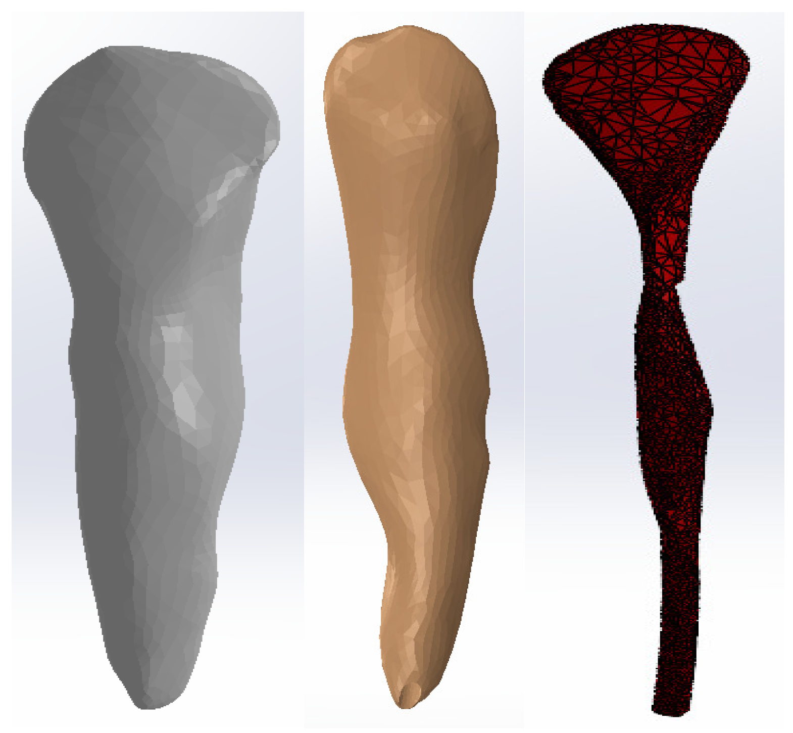 Diagnostics 14 02832 g005