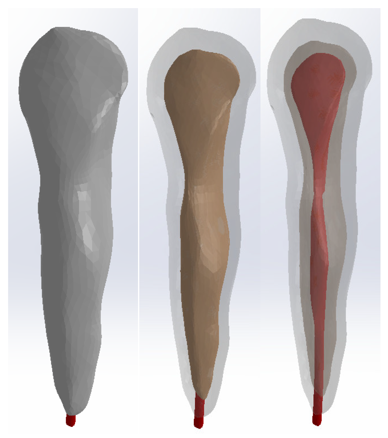 Diagnostics 14 02832 g006
