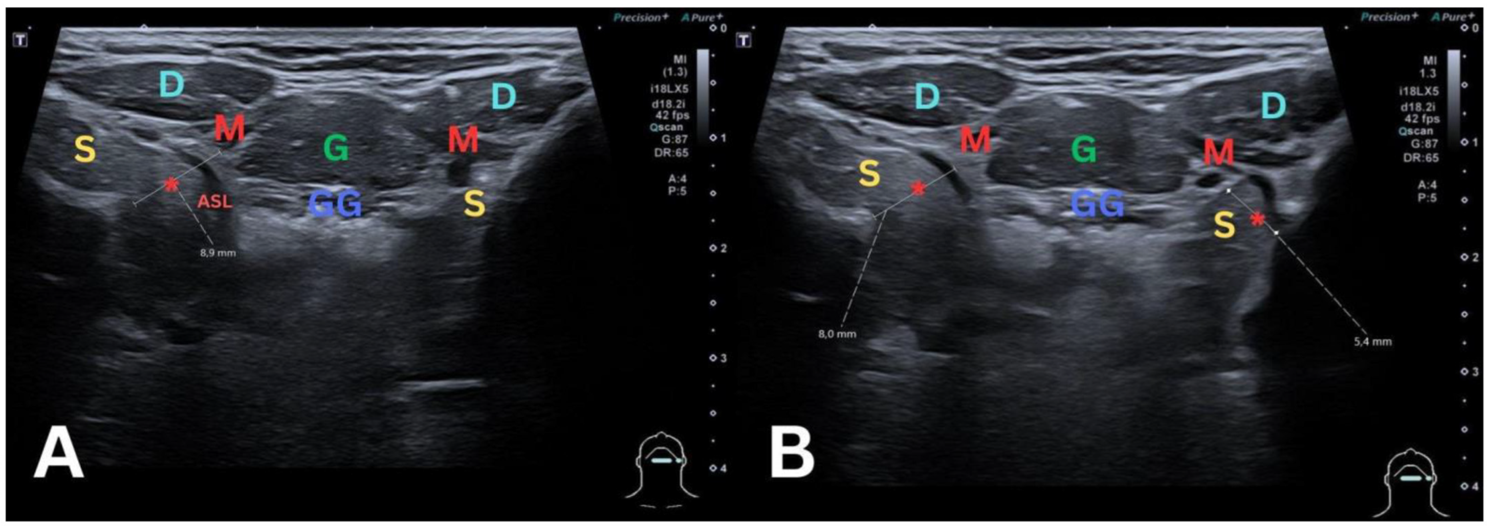 Diagnostics 14 02833 g004