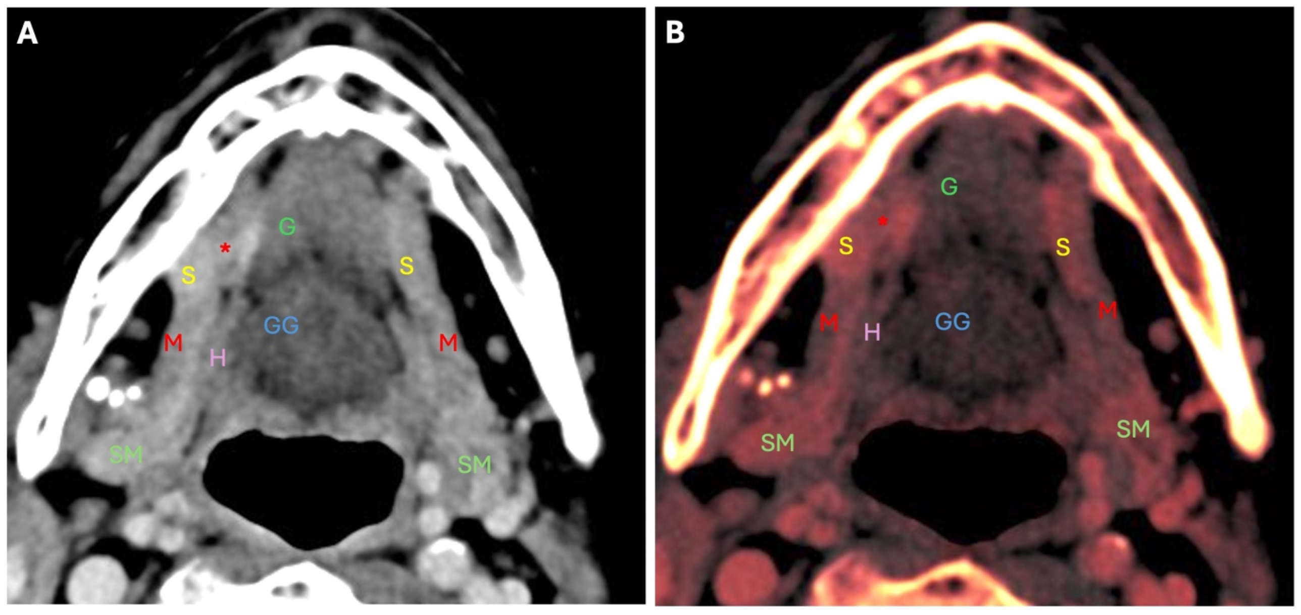 Diagnostics 14 02833 g005