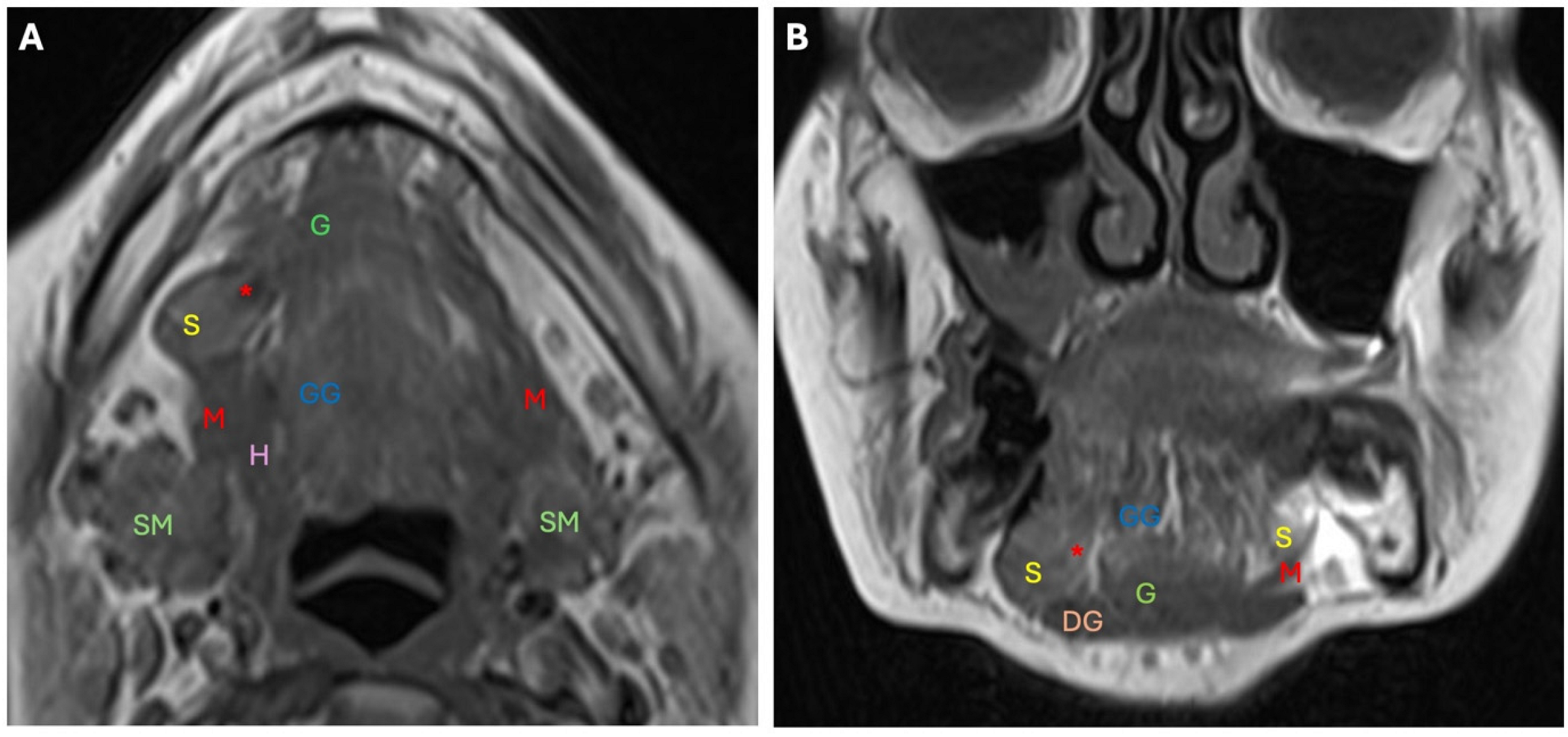 Diagnostics 14 02833 g006