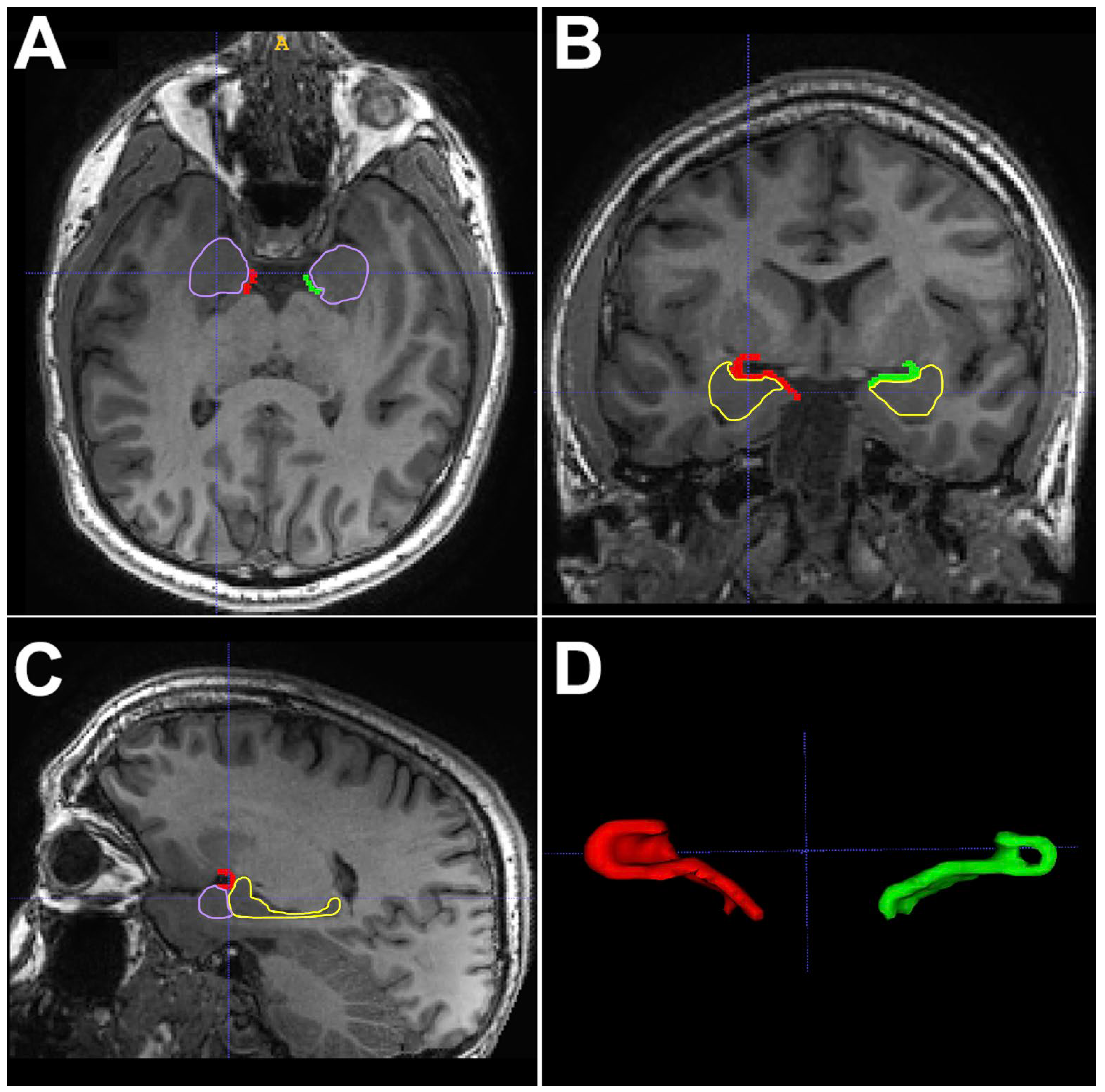 Diagnostics 14 02838 g003