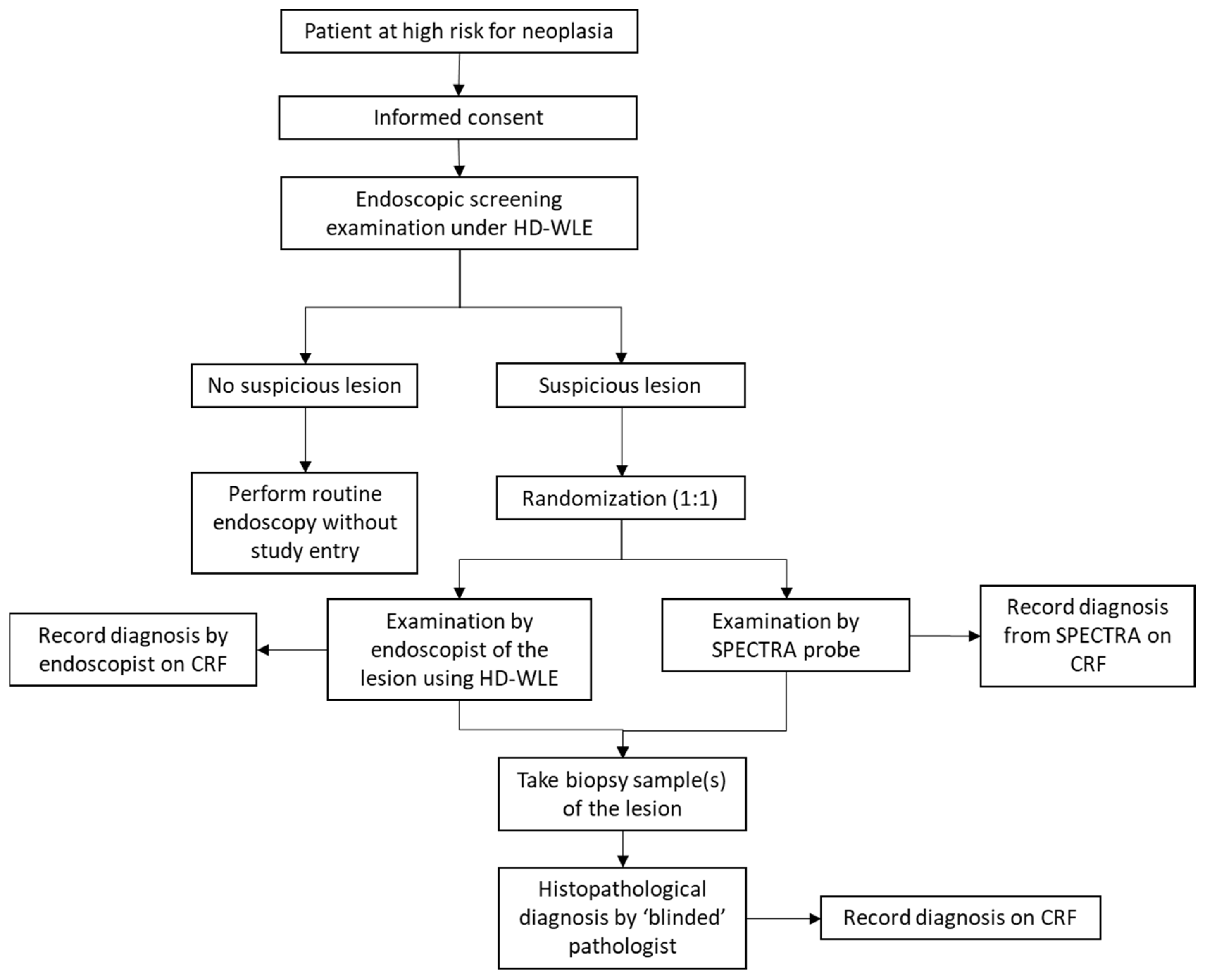 Diagnostics 14 02839 g003