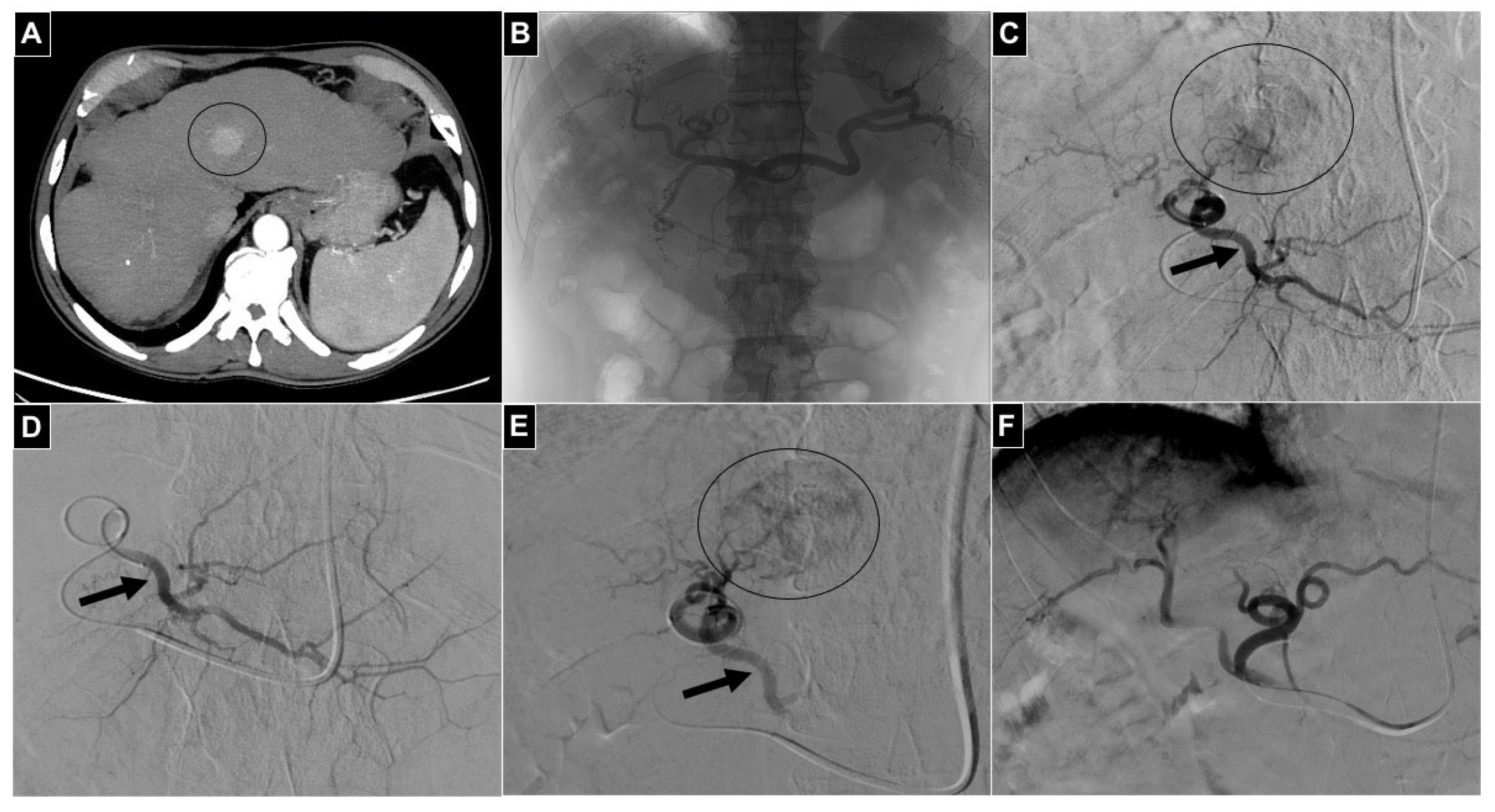 Diagnostics 14 02844 g003