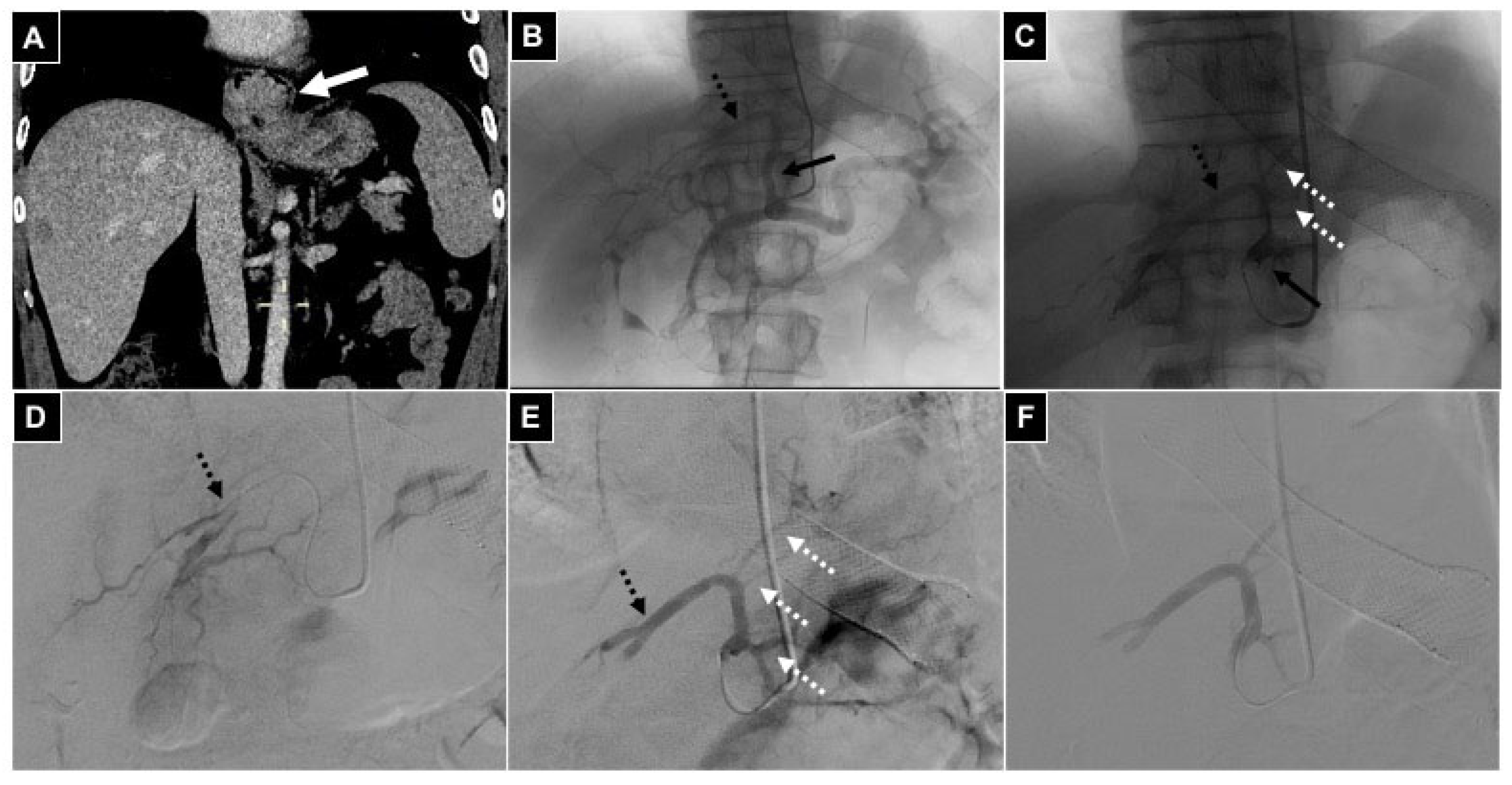 Diagnostics 14 02844 g005