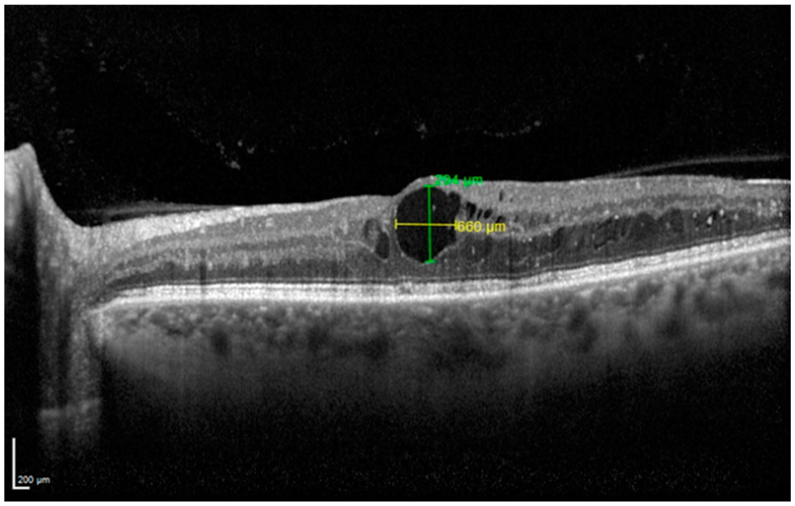 Diagnostics 14 02858 g001