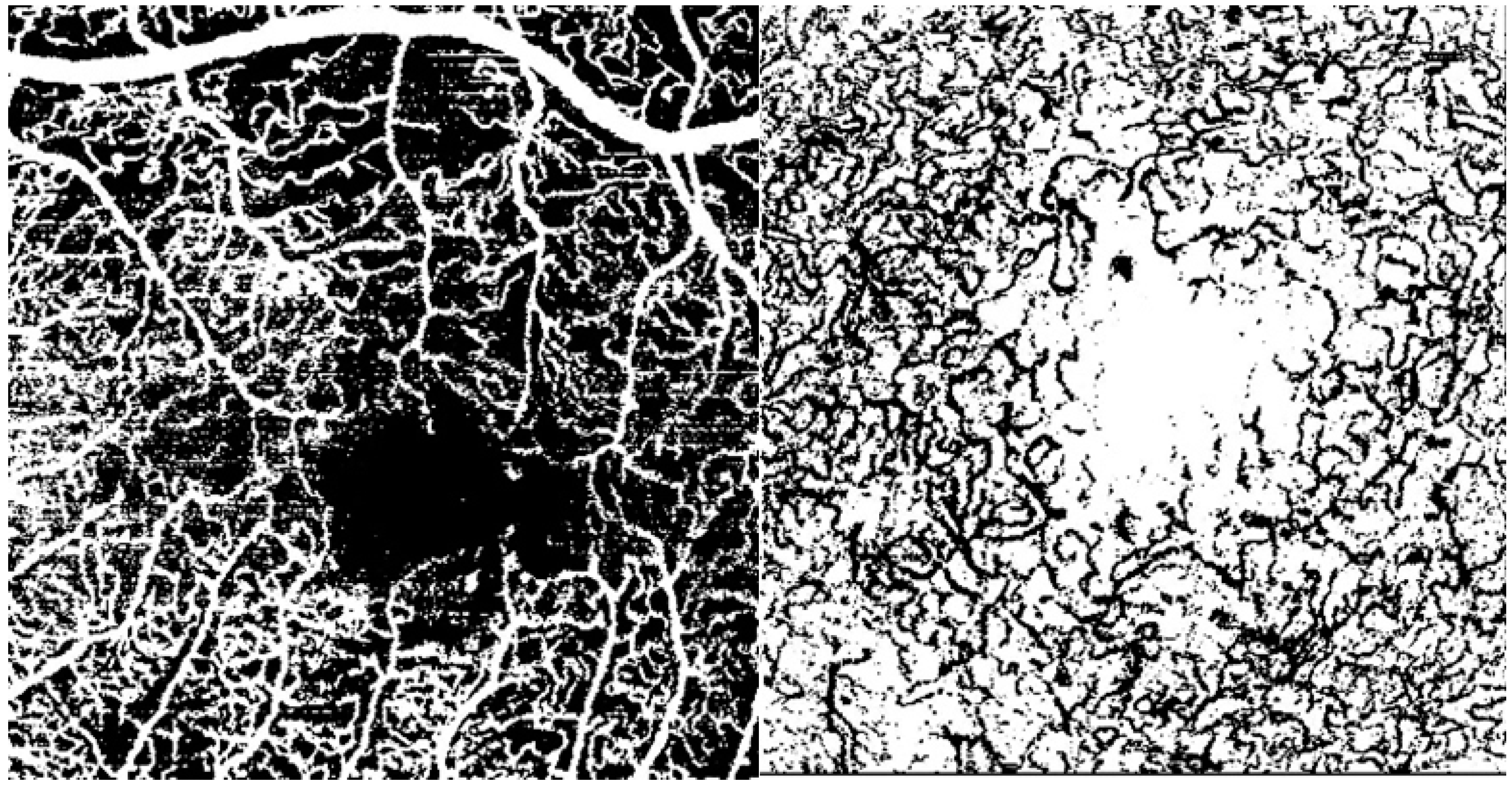 Diagnostics 14 02858 g004