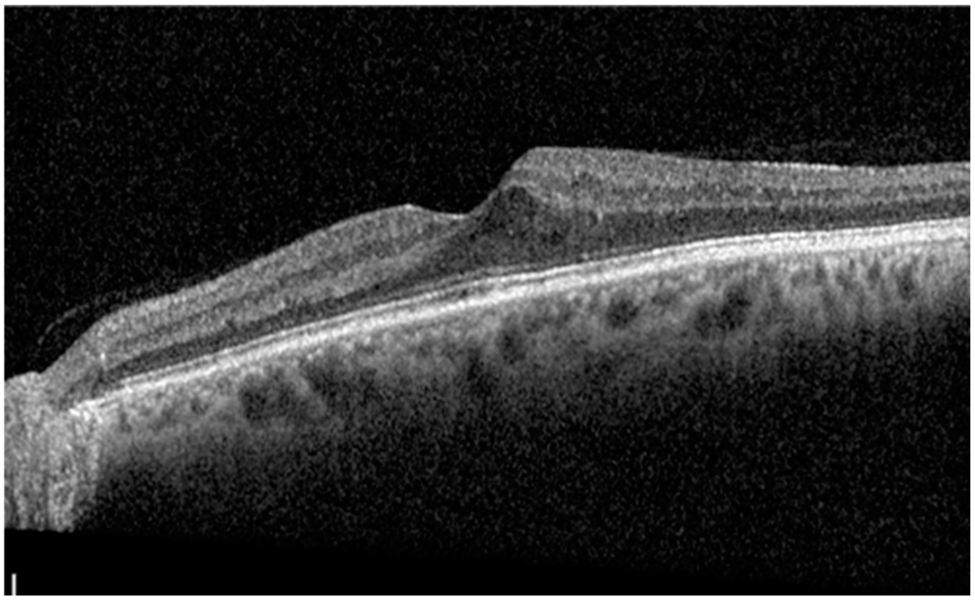 Diagnostics 14 02858 g005