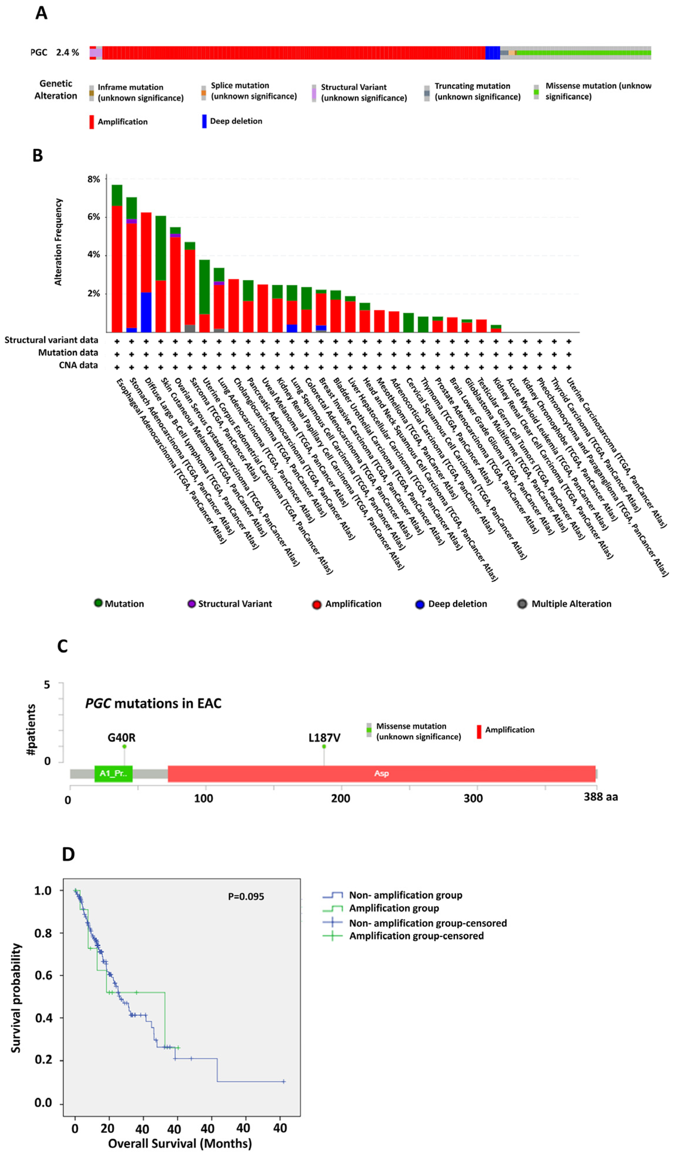 Diagnostics 14 02863 g002