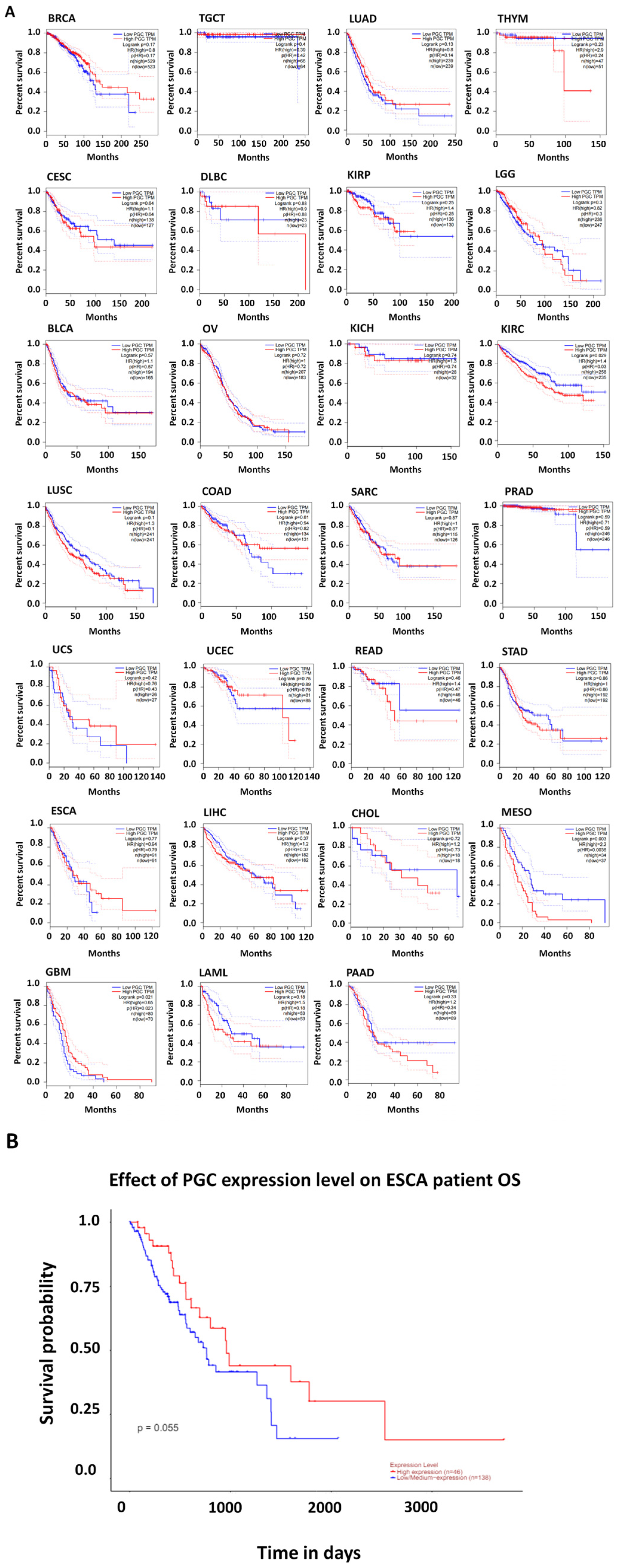 Diagnostics 14 02863 g004