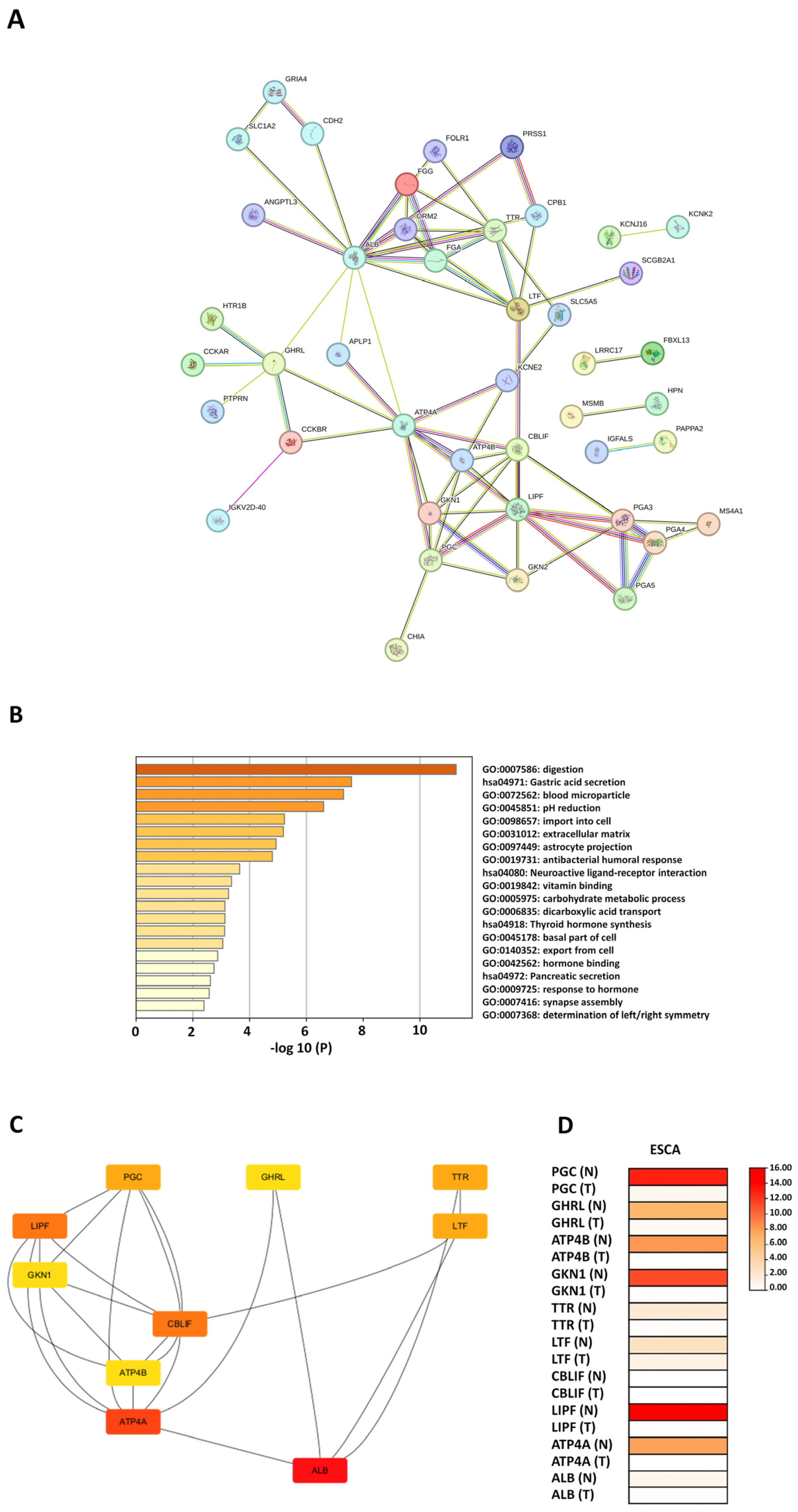 Diagnostics 14 02863 g005