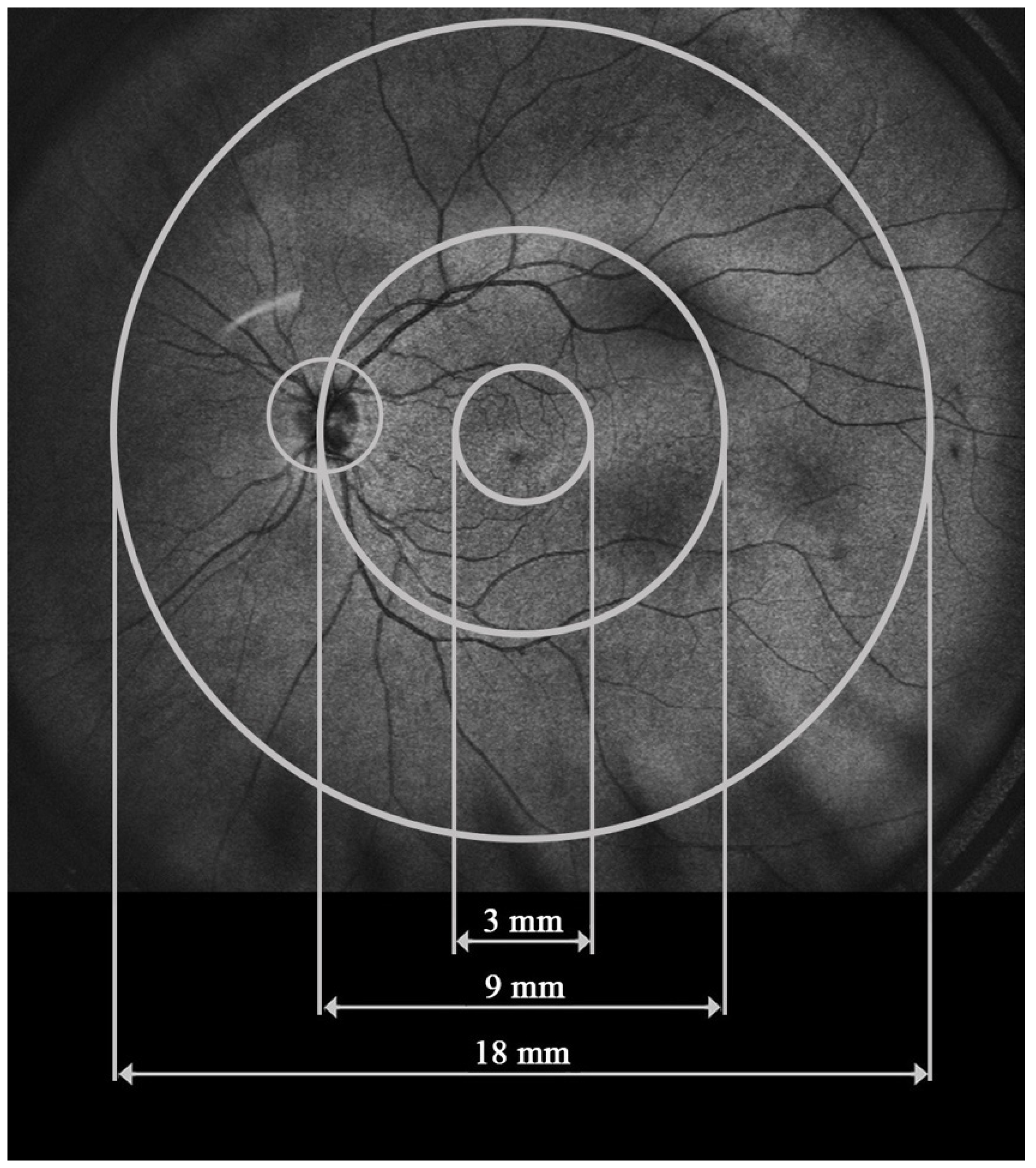 Diagnostics 14 02868 g001