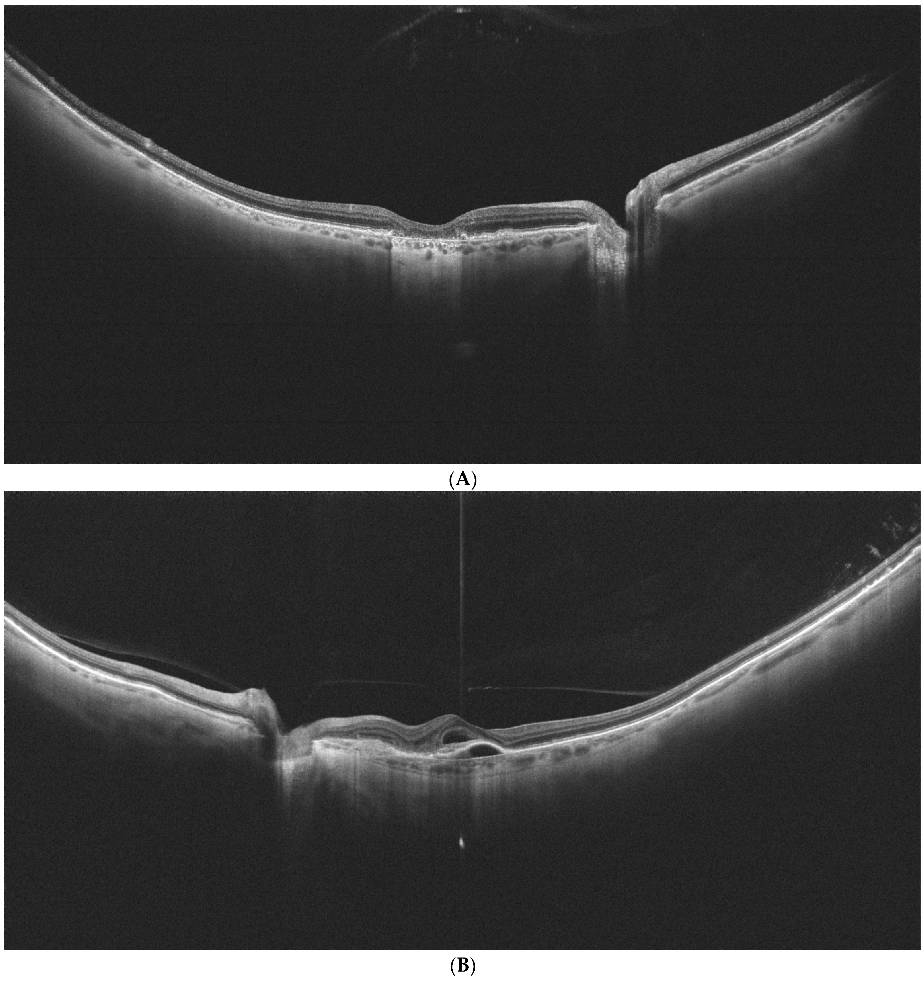 Diagnostics 14 02868 g002a