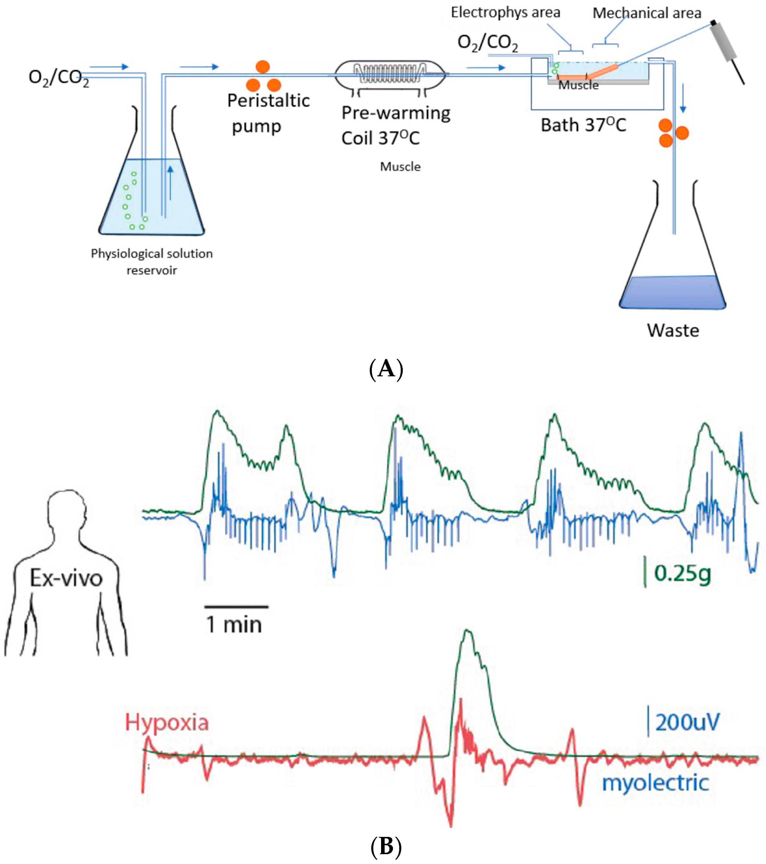 Diagnostics 14 02870 g002a