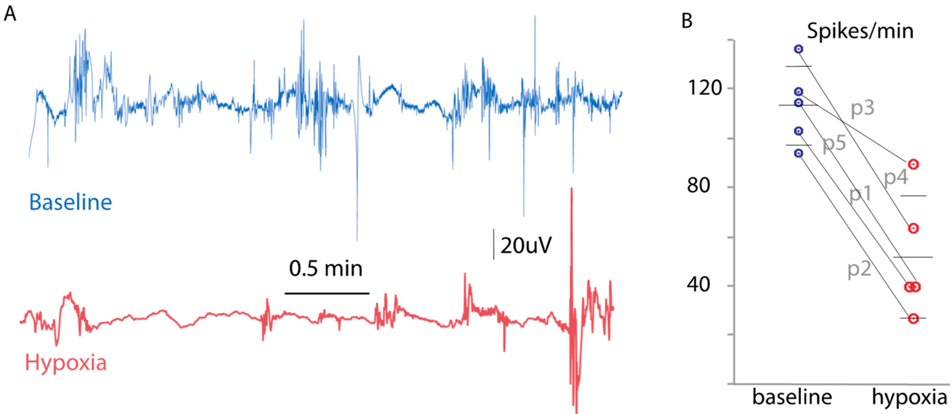 Diagnostics 14 02870 g003