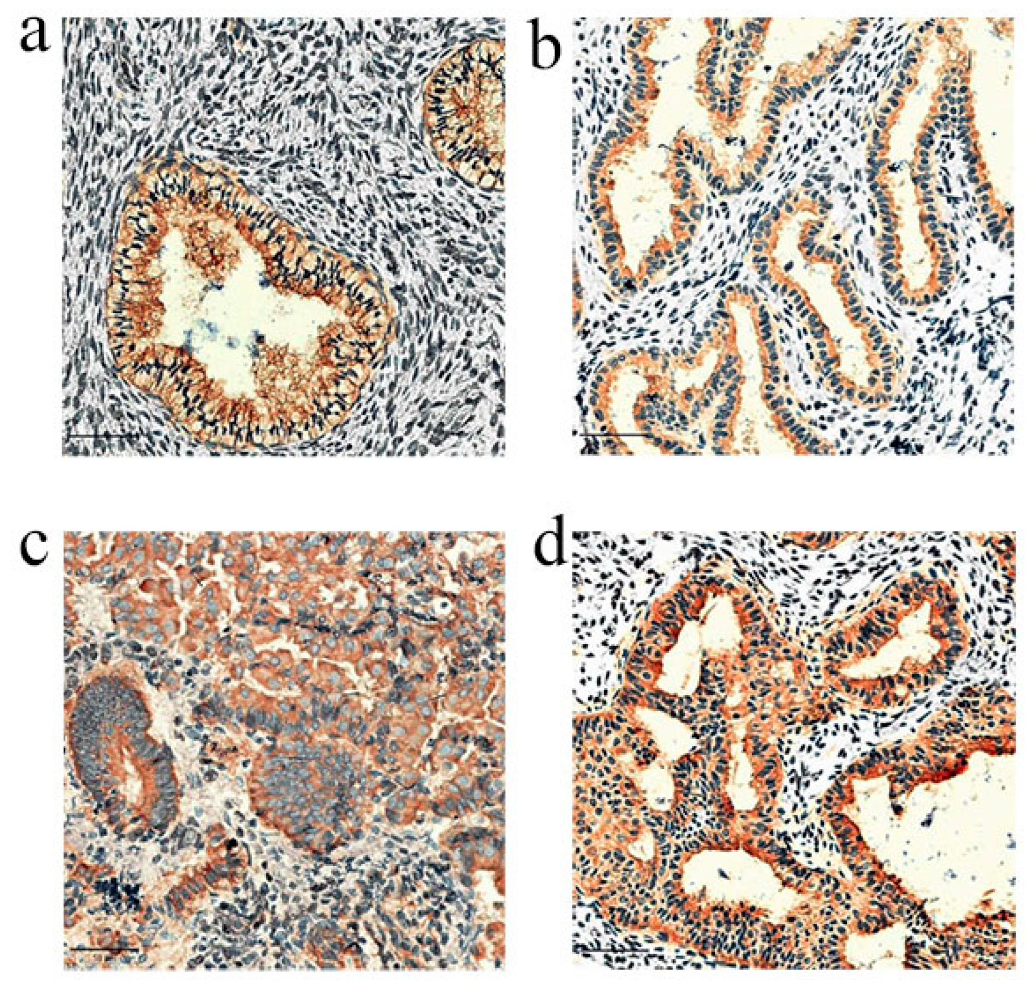 Diagnostics 14 02872 g002 Diagnostics 14 02872 g002