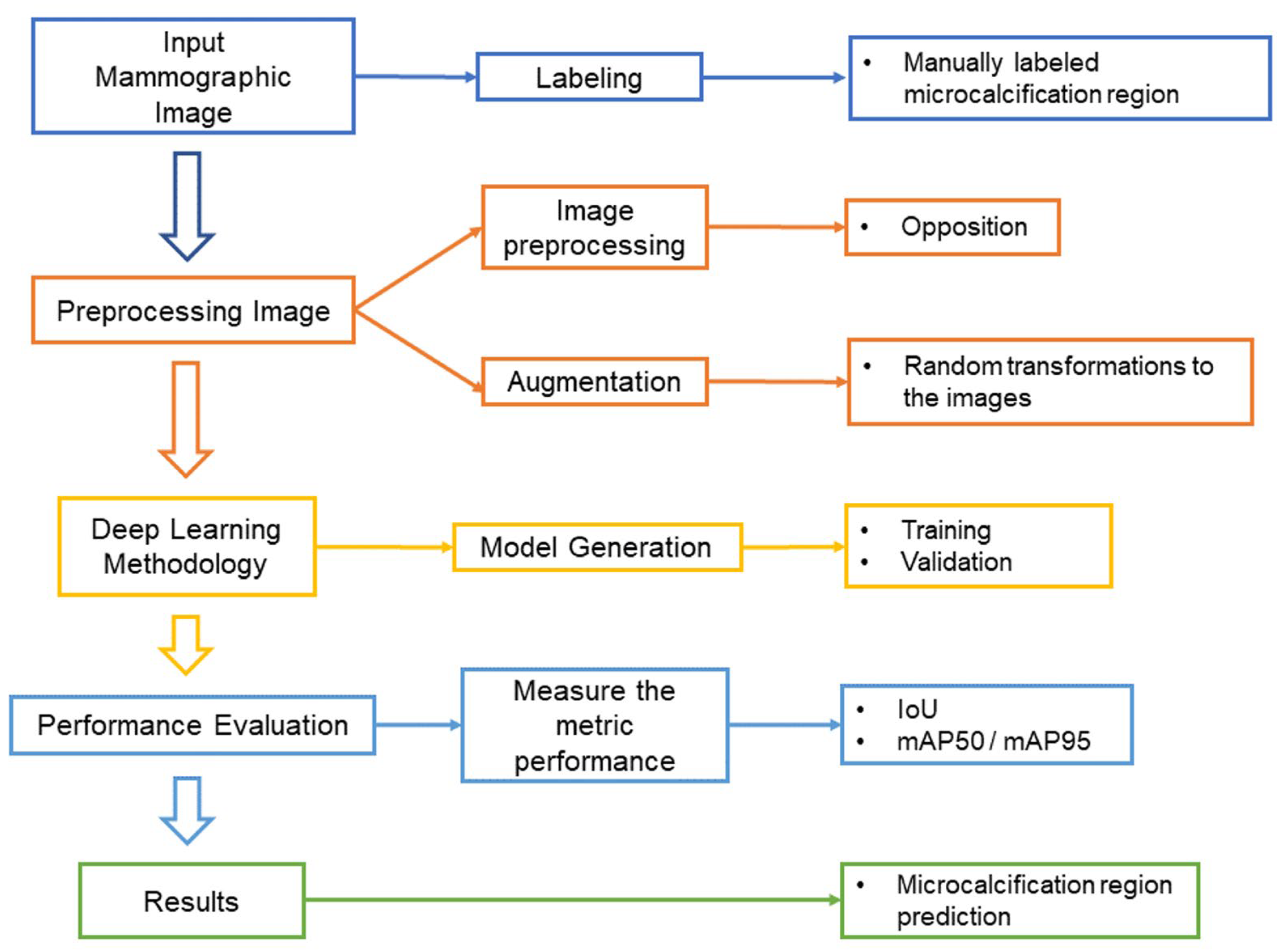 Diagnostics 14 02875 g001