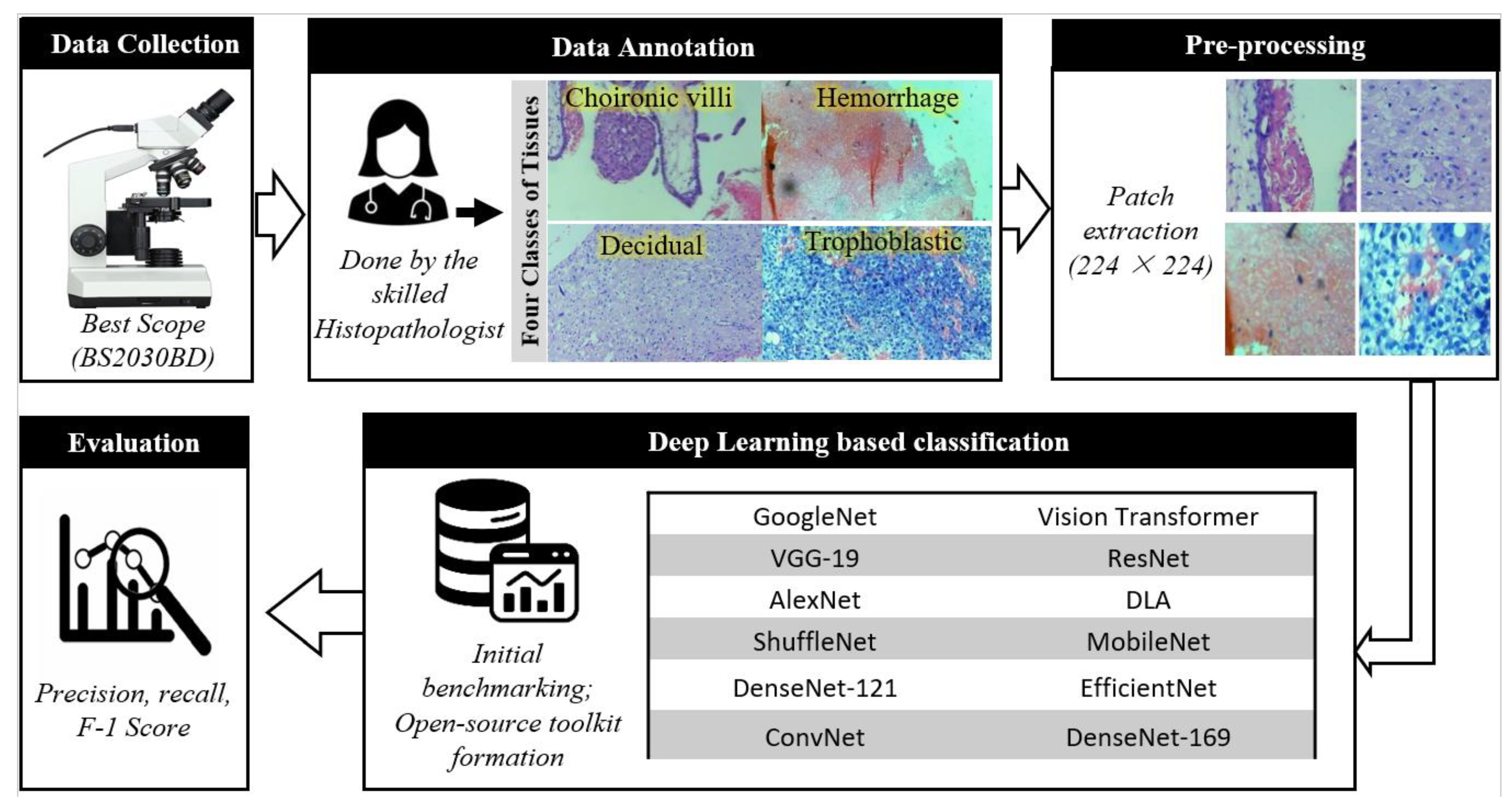 Diagnostics 14 02877 g001
