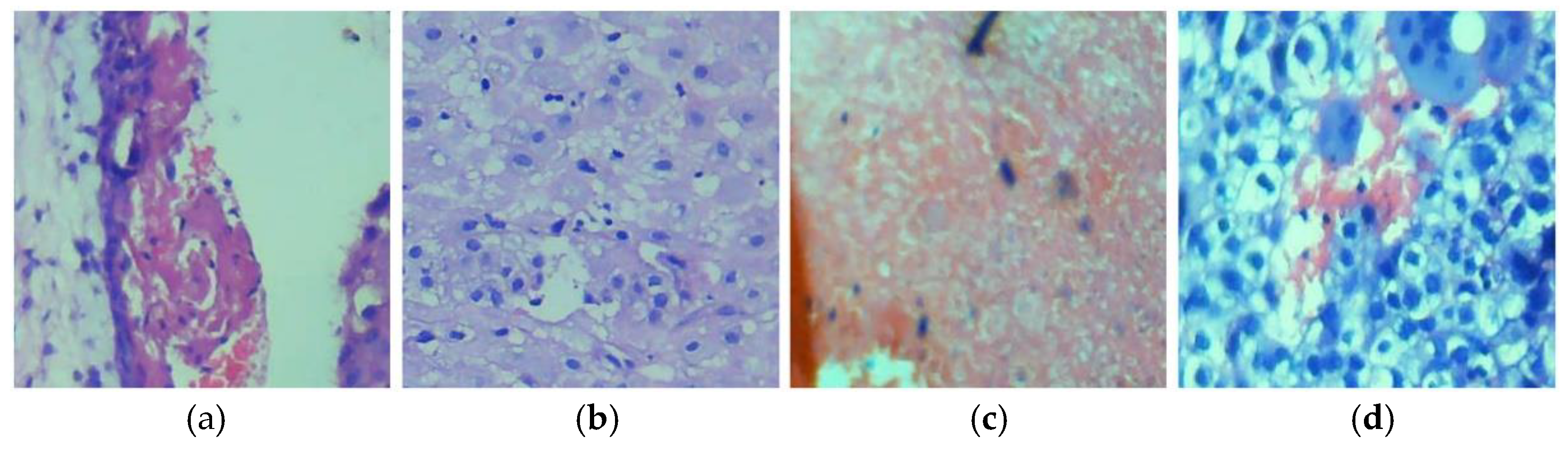 Diagnostics 14 02877 g002