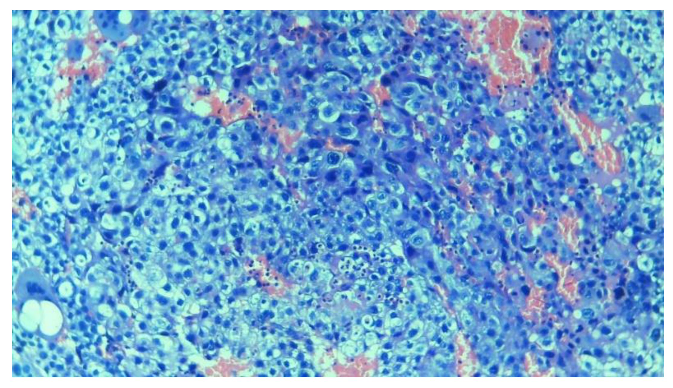 Diagnostics 14 02877 g006