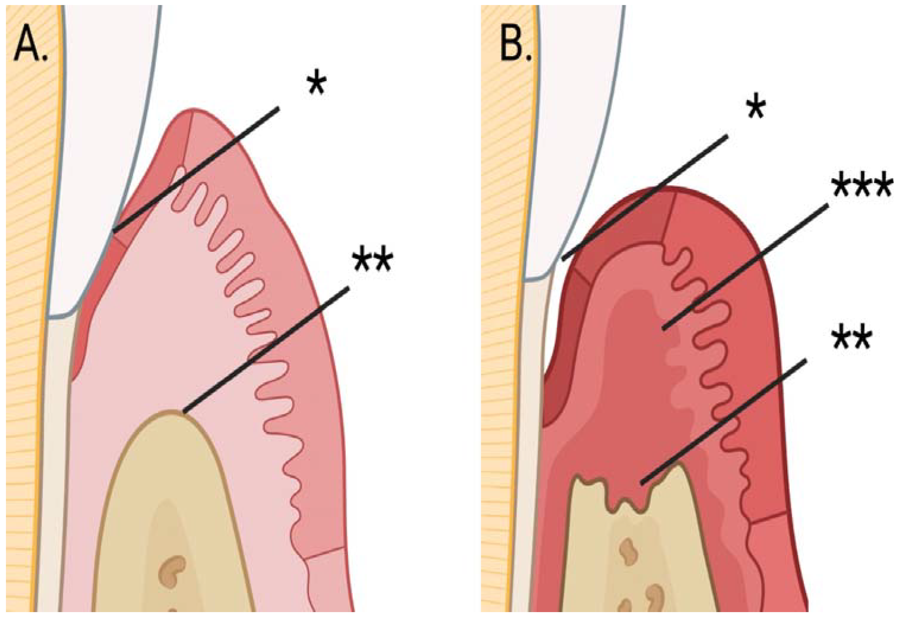 Diagnostics 14 02878 g001