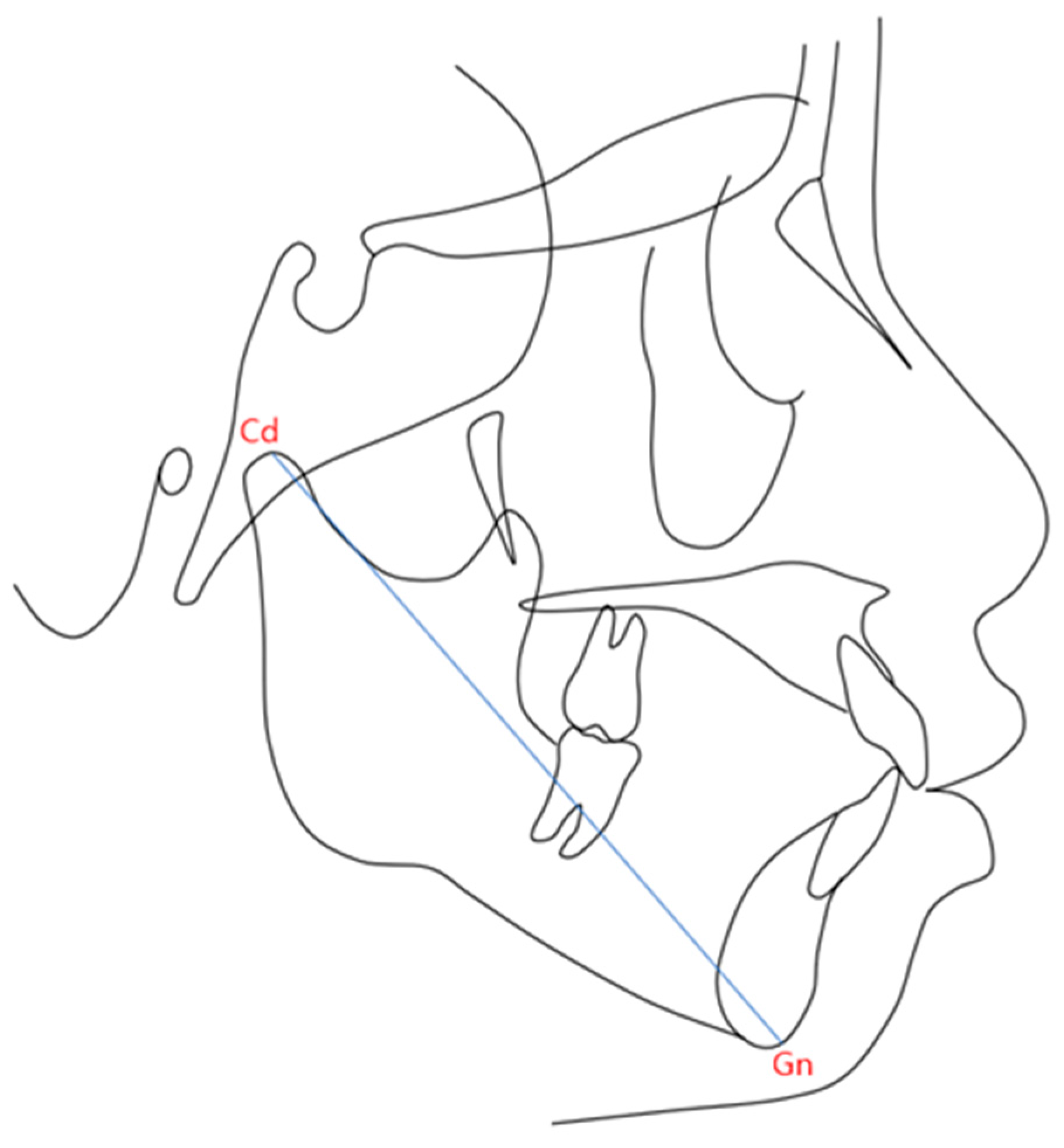 Diagnostics 14 02879 g001